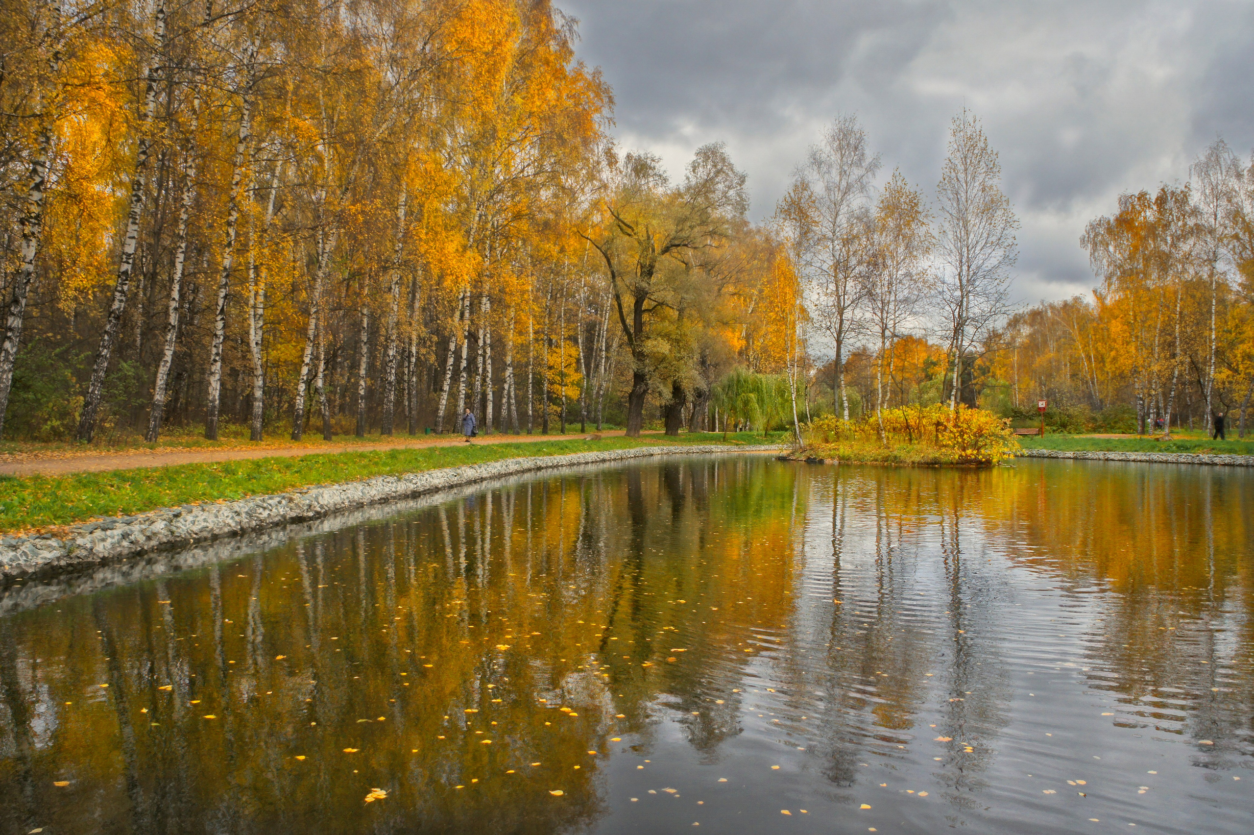 Осень. Свадьбы, портретная, предметная съемка. Фотограф Александр К