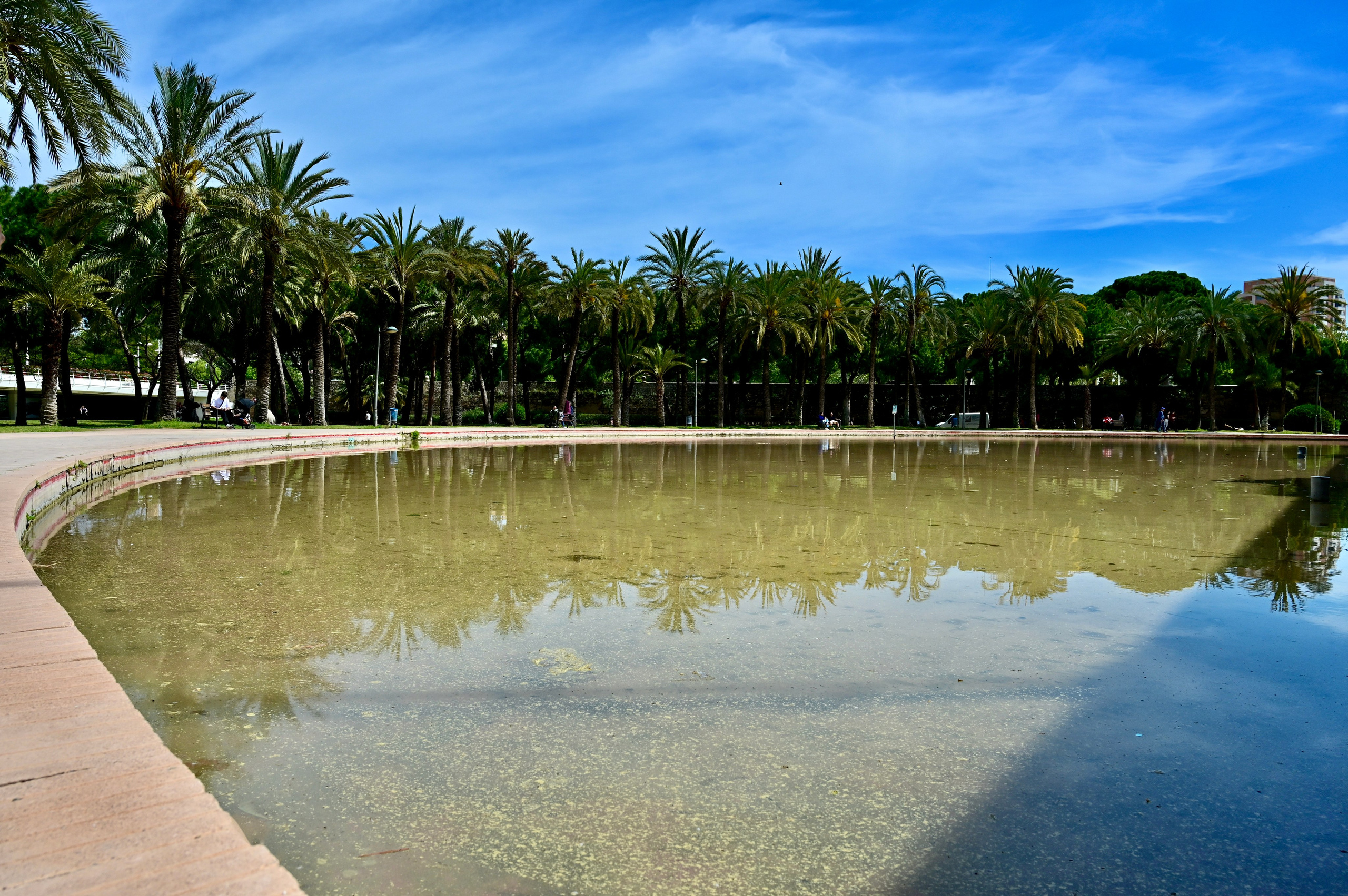 Парки Валенсии. Гид и фотограф в Валенсии Новиков Михаил