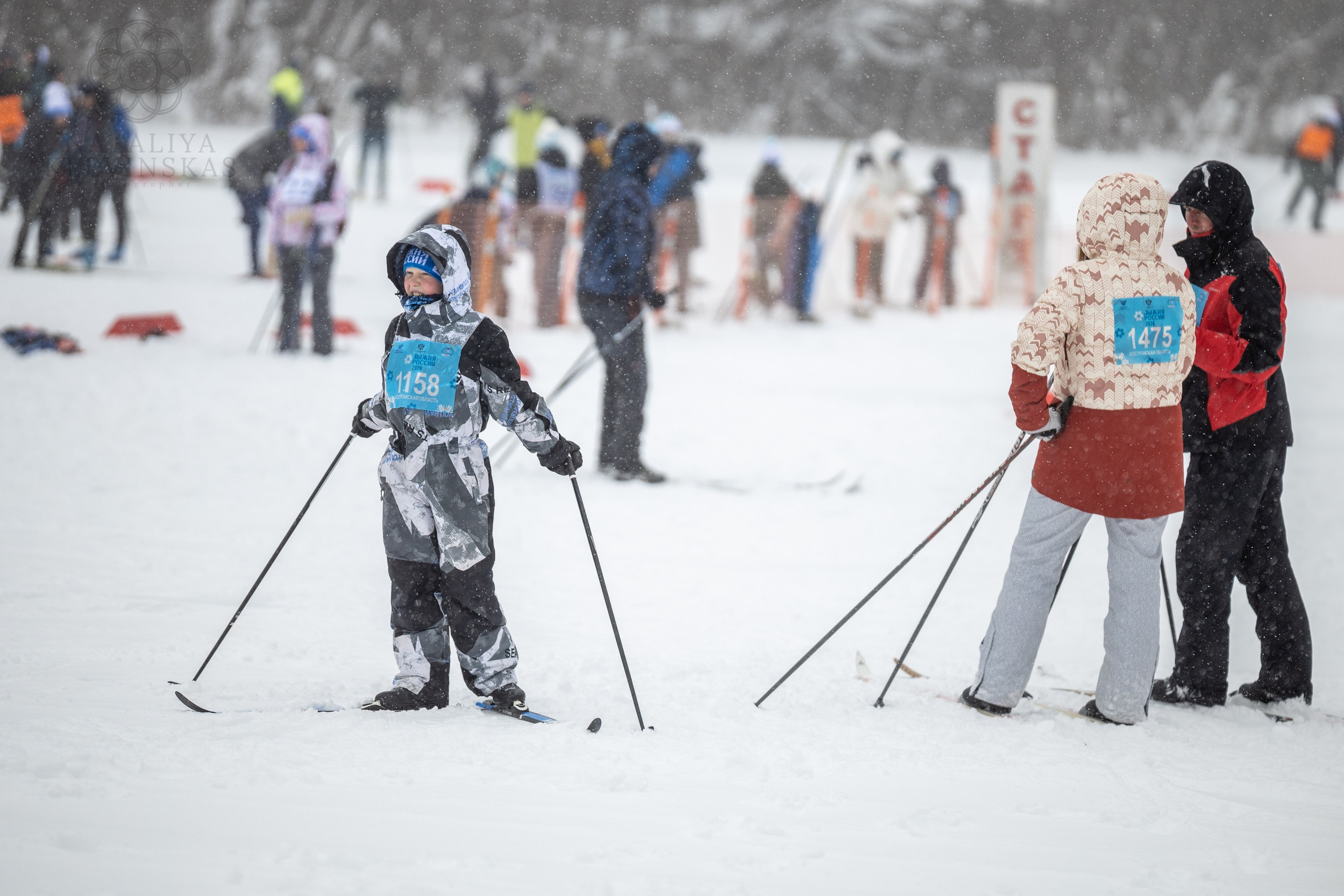 ЛЫЖНЯ РОССИИ 2026 КОСТРОМА. Портретный фотограф в Костроме Наталия Клевинскас