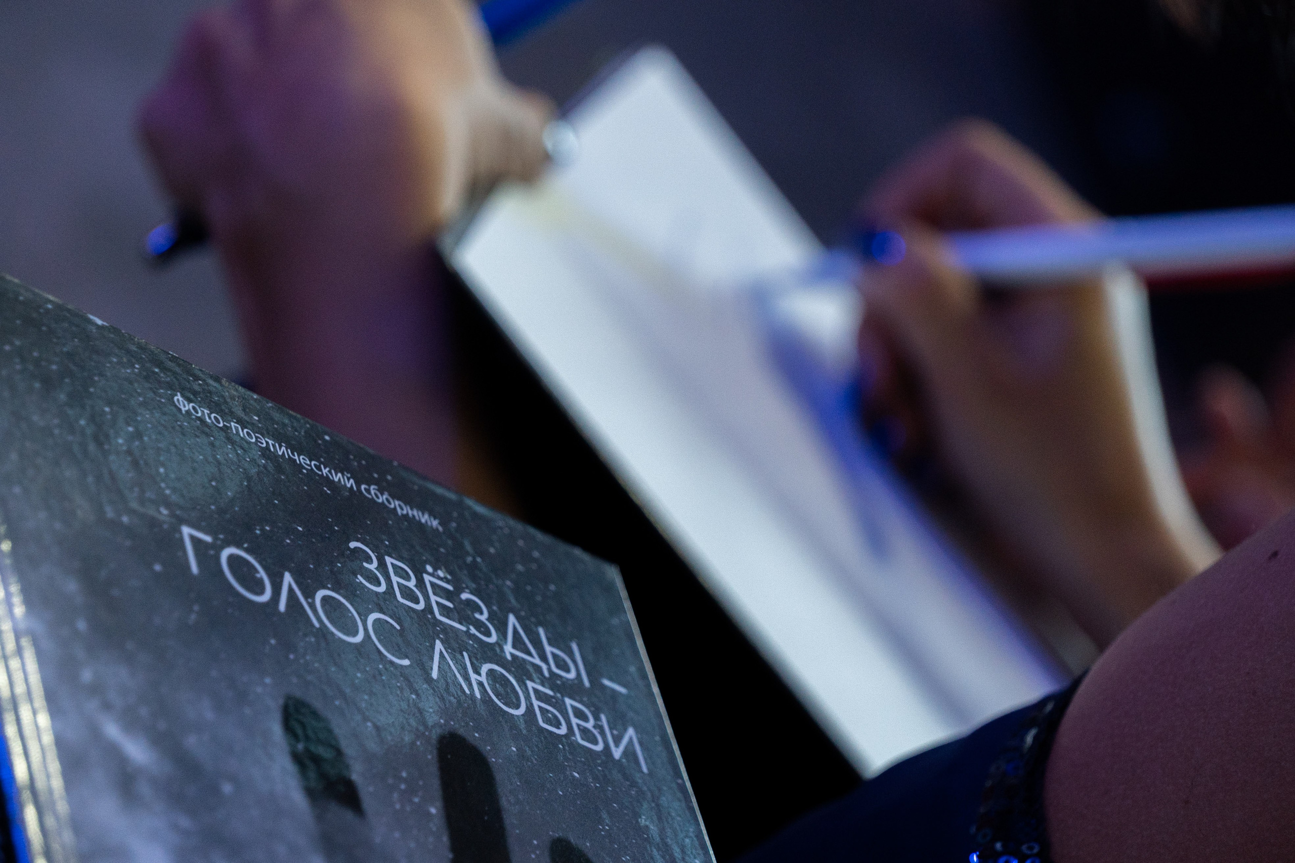 КОНЦЕРТ. Света ЧЕ. Мастер интеллектуальной фотографии. Краснодар