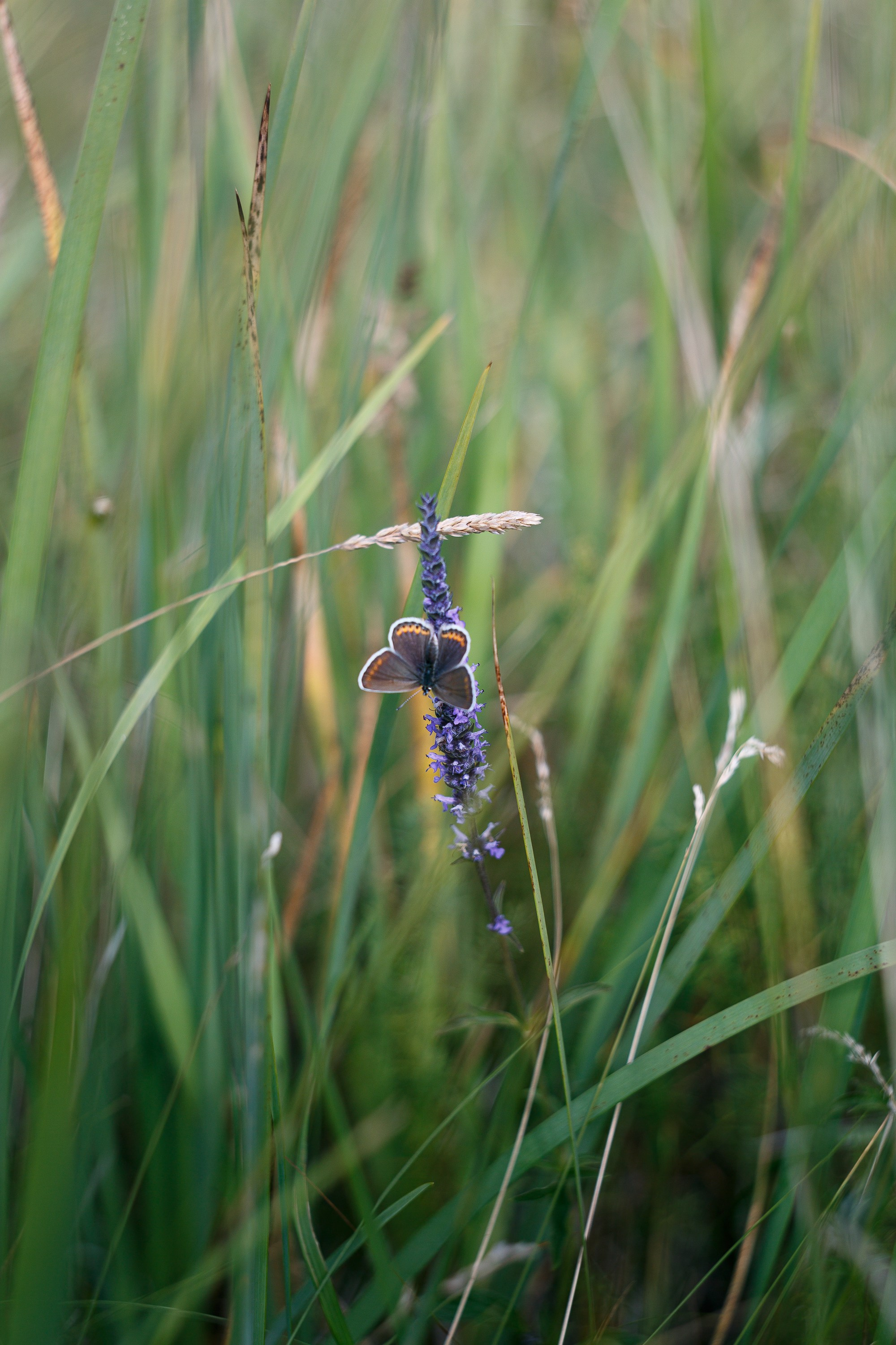 Блог о фотографии