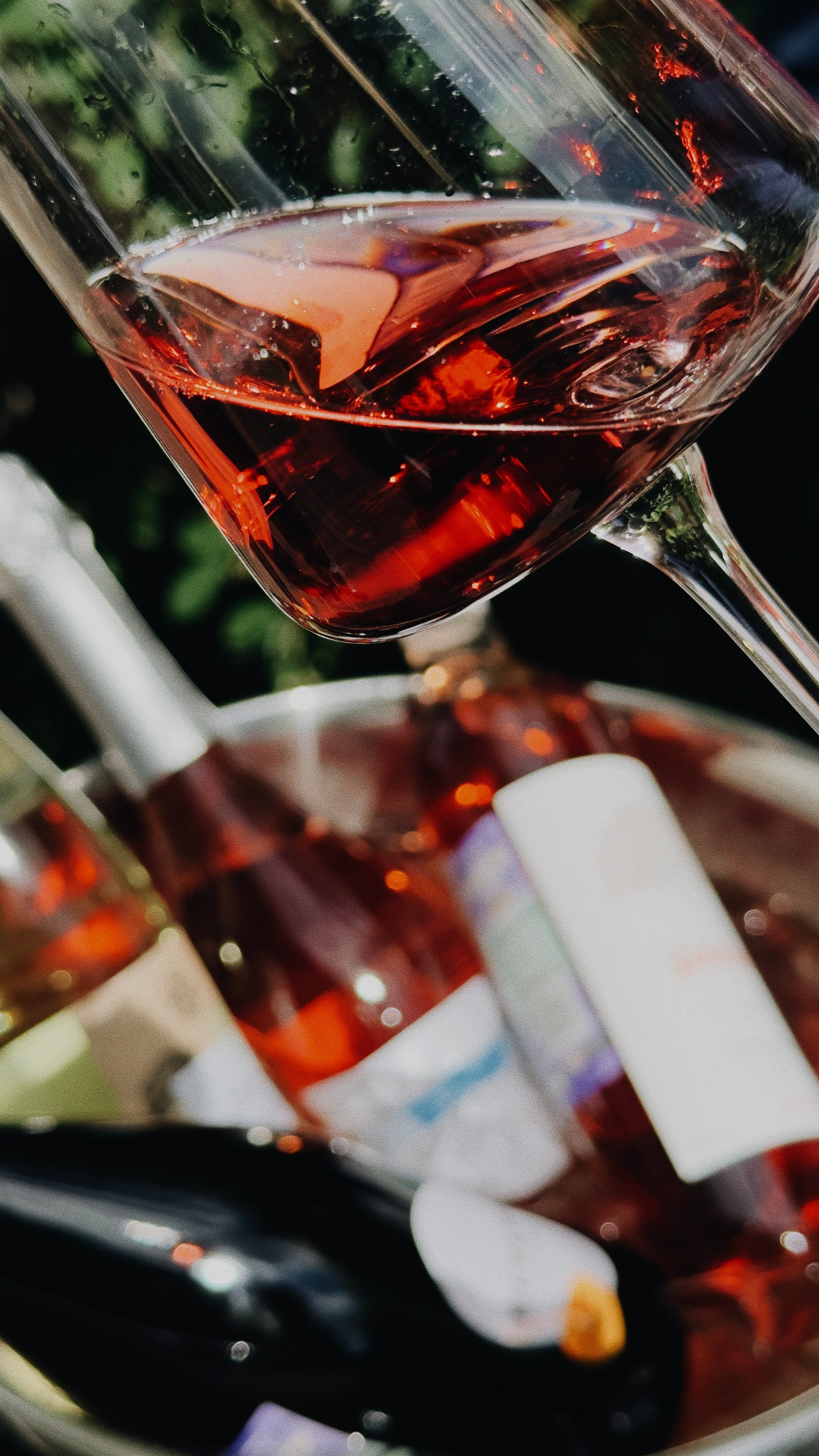 EKATERINA BOGDANOVA ─ PHOTOGRAPHER