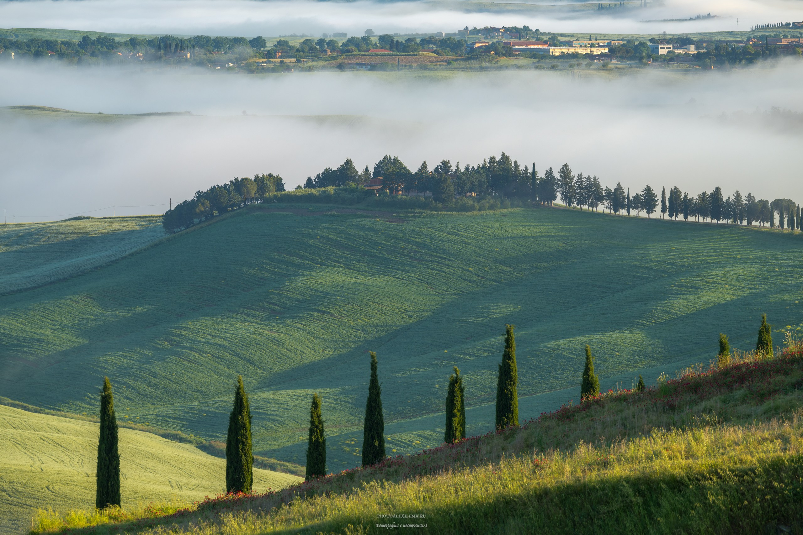 Долина Крете Сенези (Crete Senesi). Авторские стильные фотокартины