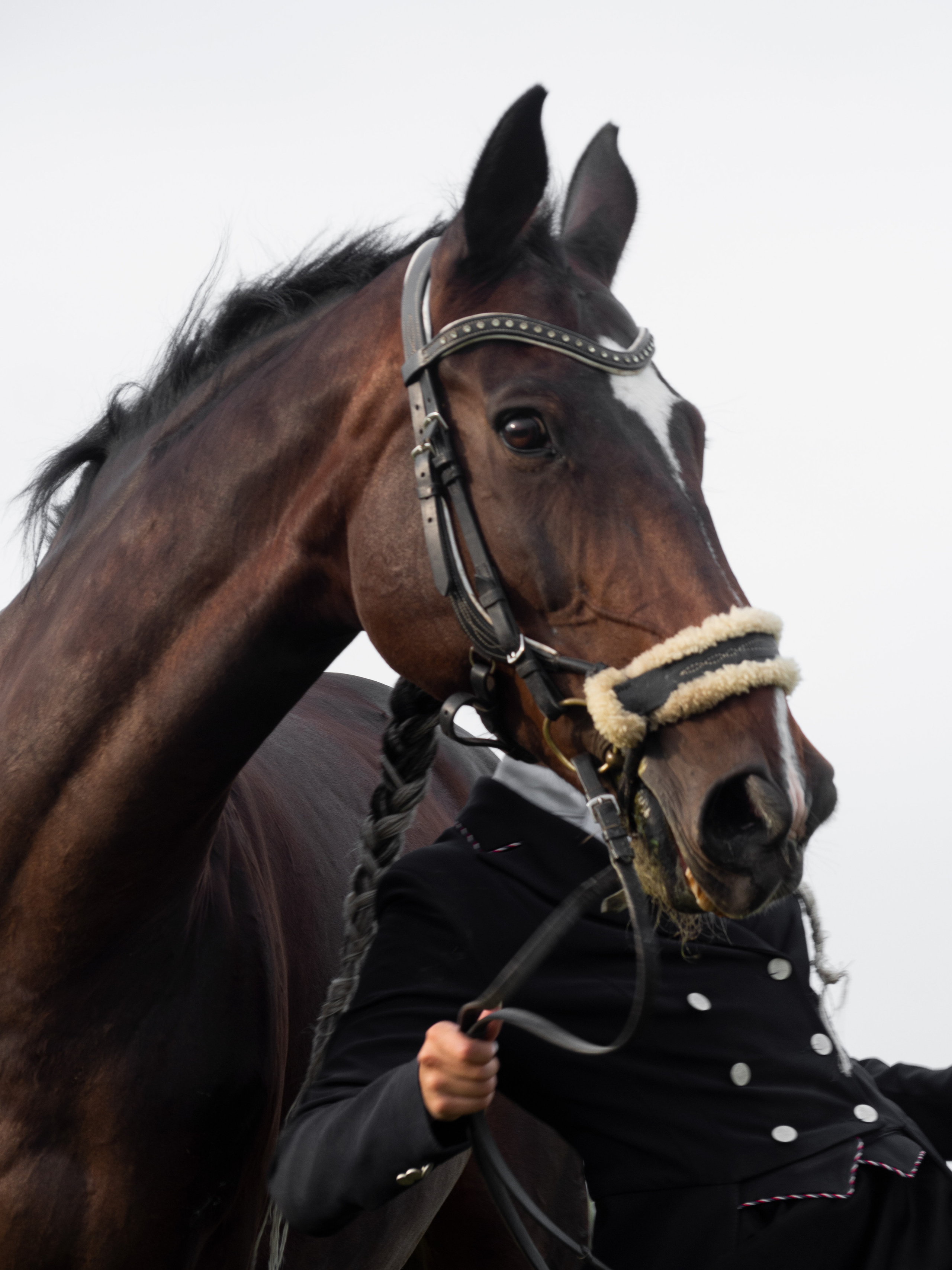 МОИ МЫСЛИ — МОИ СКАКУНЫ. Меня зовут ОЛЬГА. Я ПЕРСОНАЛЬНЫЙ ФОТОГРАФ, МОСКВА
