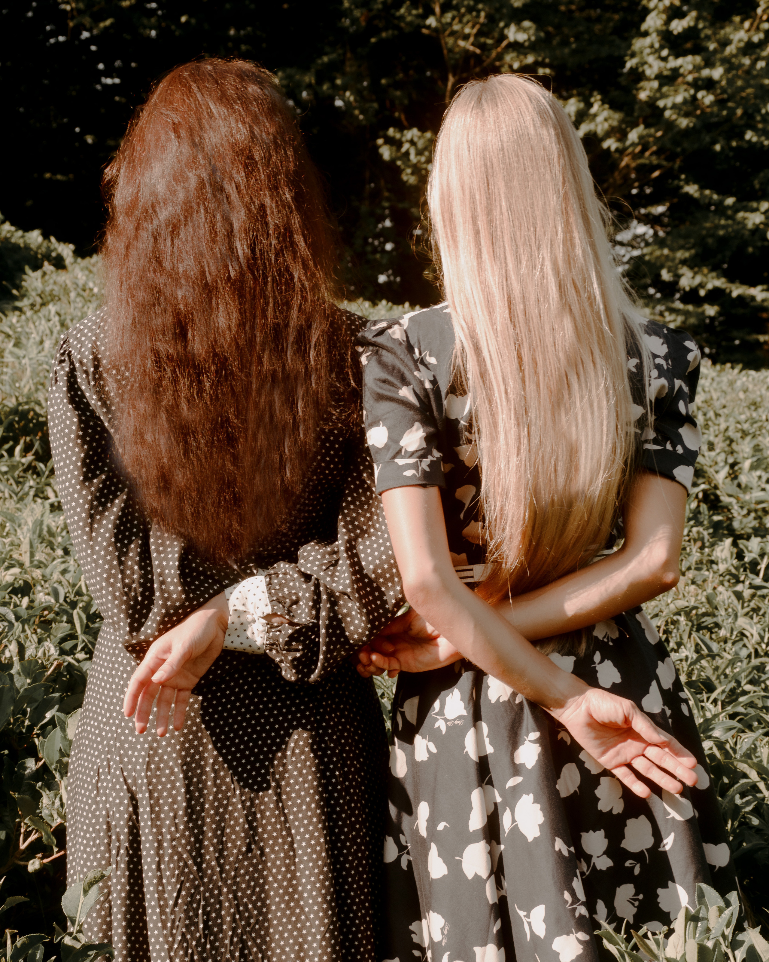 ЧАЙНЫЕ ПЛАНТАЦИИ. Меня зовут ОЛЬГА. Я ПЕРСОНАЛЬНЫЙ ФОТОГРАФ, МОСКВА