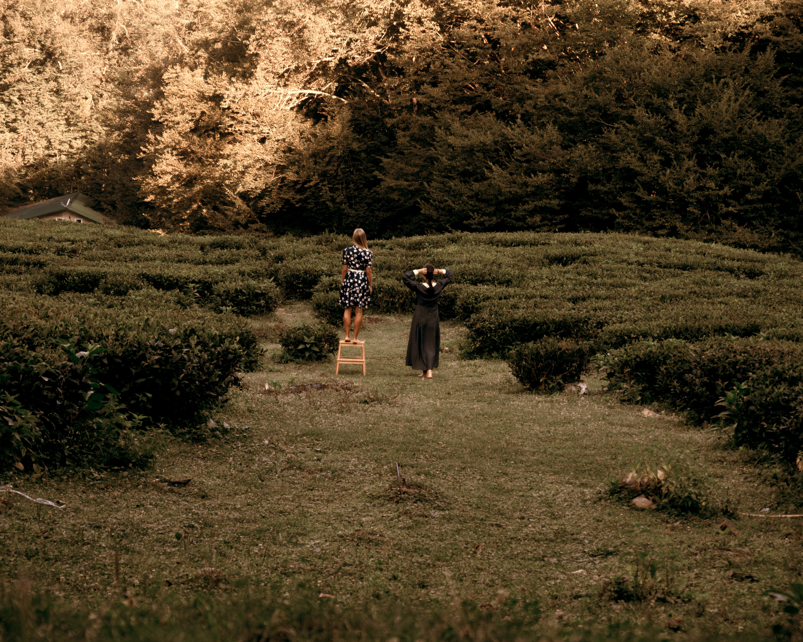 ЧАЙНЫЕ ПЛАНТАЦИИ. Меня зовут ОЛЬГА. Я ПЕРСОНАЛЬНЫЙ ФОТОГРАФ, МОСКВА
