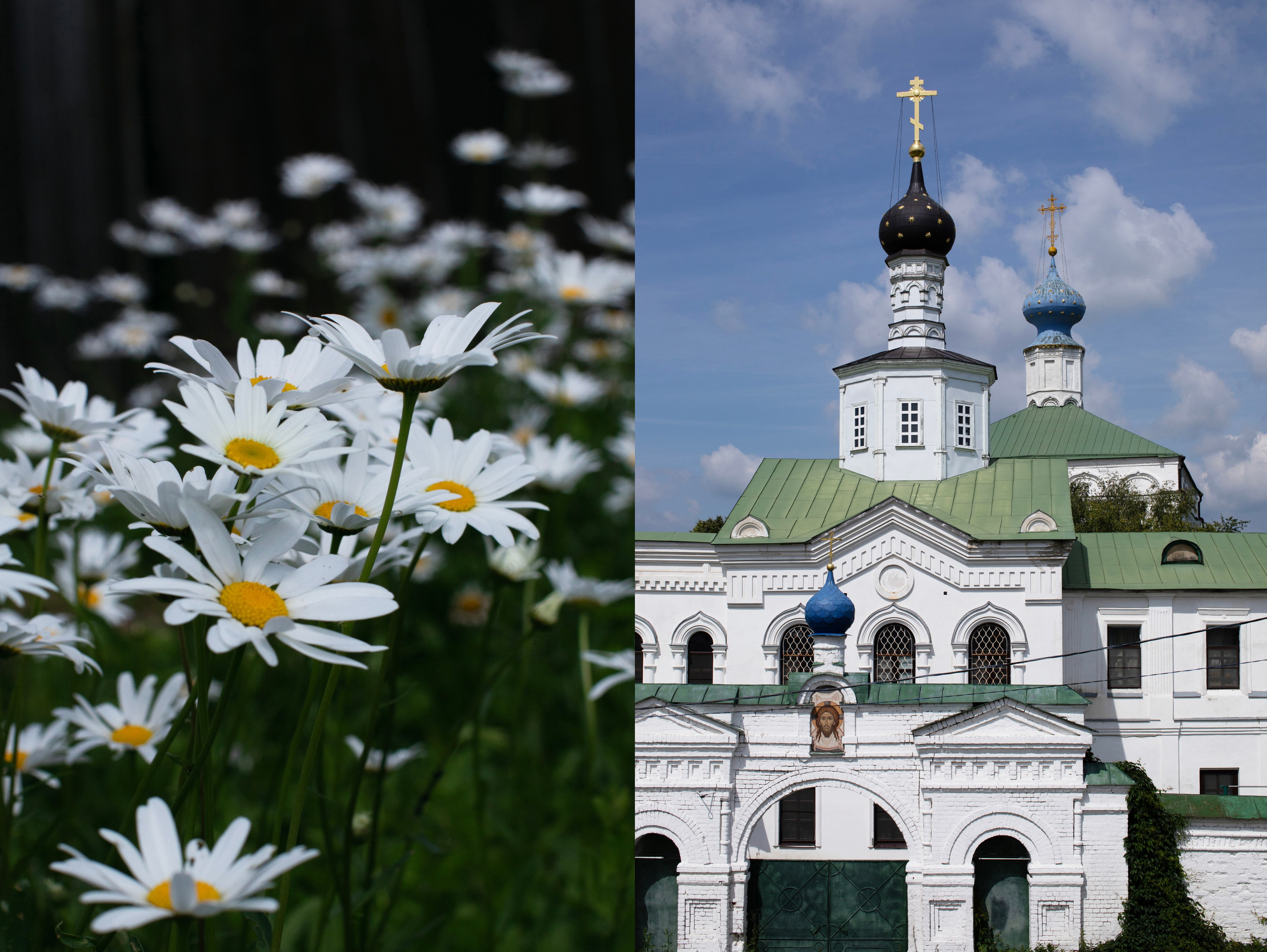 Рязань'25. Фотограф-портретист в Москве