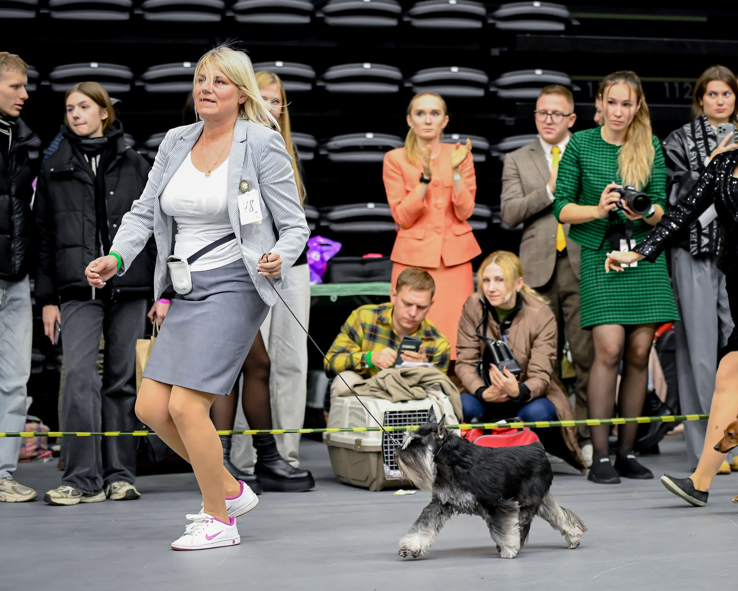 Питомник Делинсо Бэлэнс, щенки цвергшнауцера, купить щенка цвергшнауцера, питомник цвергшнауцеров, кобель цвергшнауцера для вязки, щенок цвергшнауцера, питомник цвергшнауцеров, черный с серебром, цверг, лучший питомник в беларуси, питомник цвергшнауцеров минск