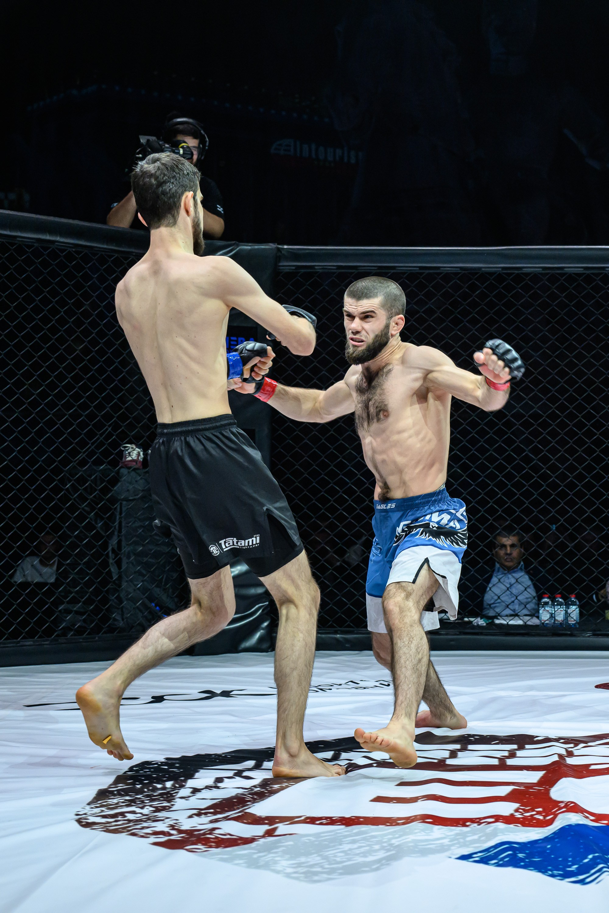 Фотосъемка профессионального турнира по смешанным единоборствам. Профессиональная фотосъемка. Ростов-на-Дону