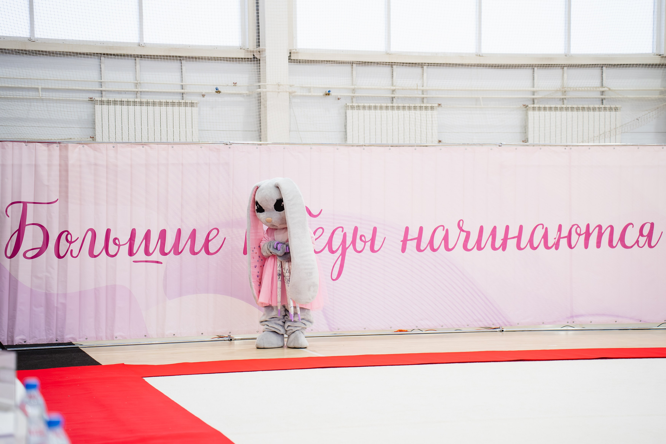 Вдохновение. Воробьева Ксения — Спортивный и танцевальный фотограф Новосибирск