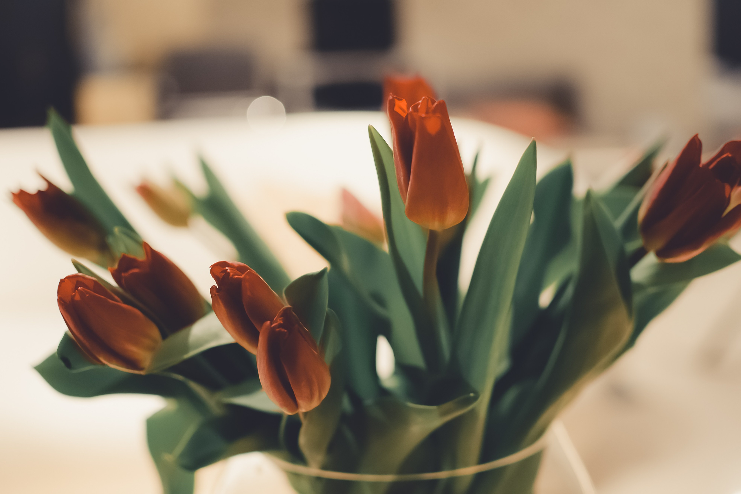 Мамин день 9 марта 2024. Фотограф Ольга Морятова