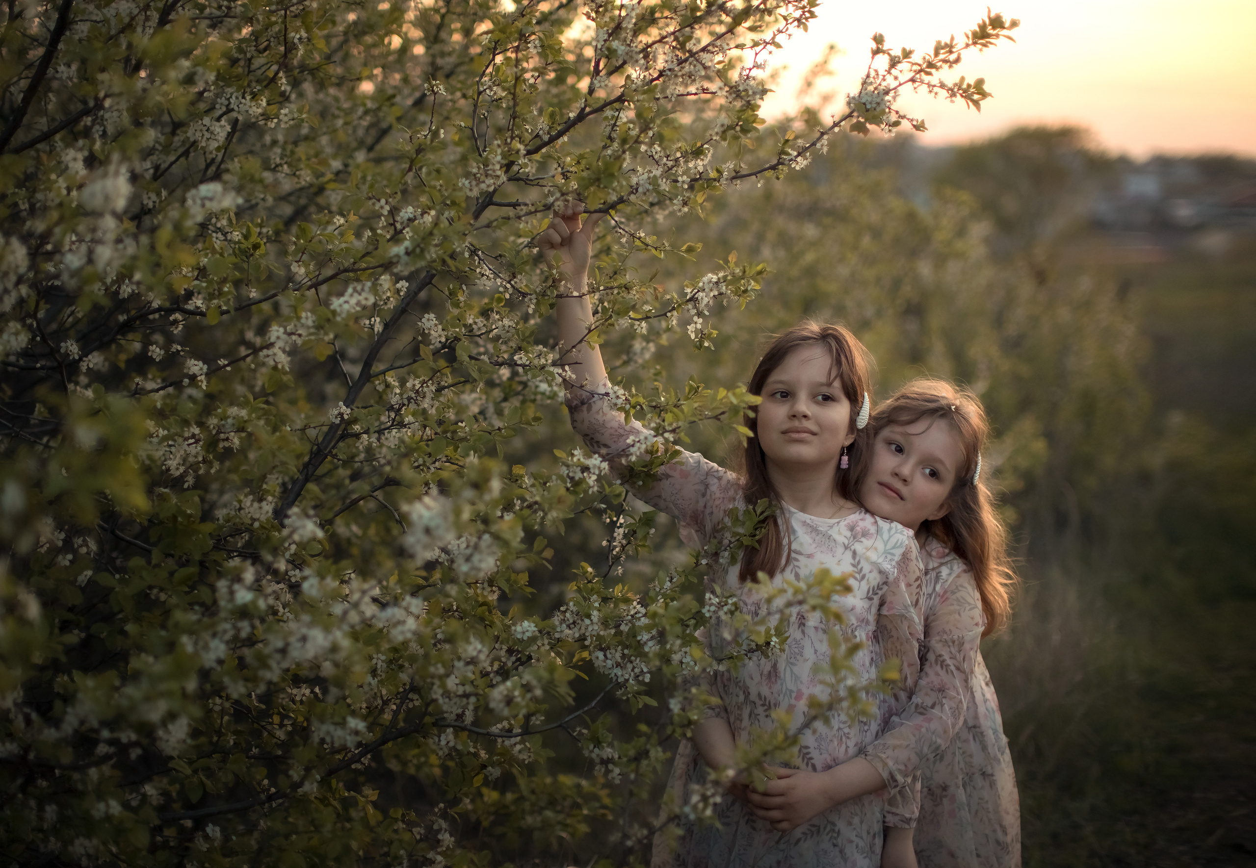 Вишневая история. Семейный и детский фотограф в Саратове Полина Коткина