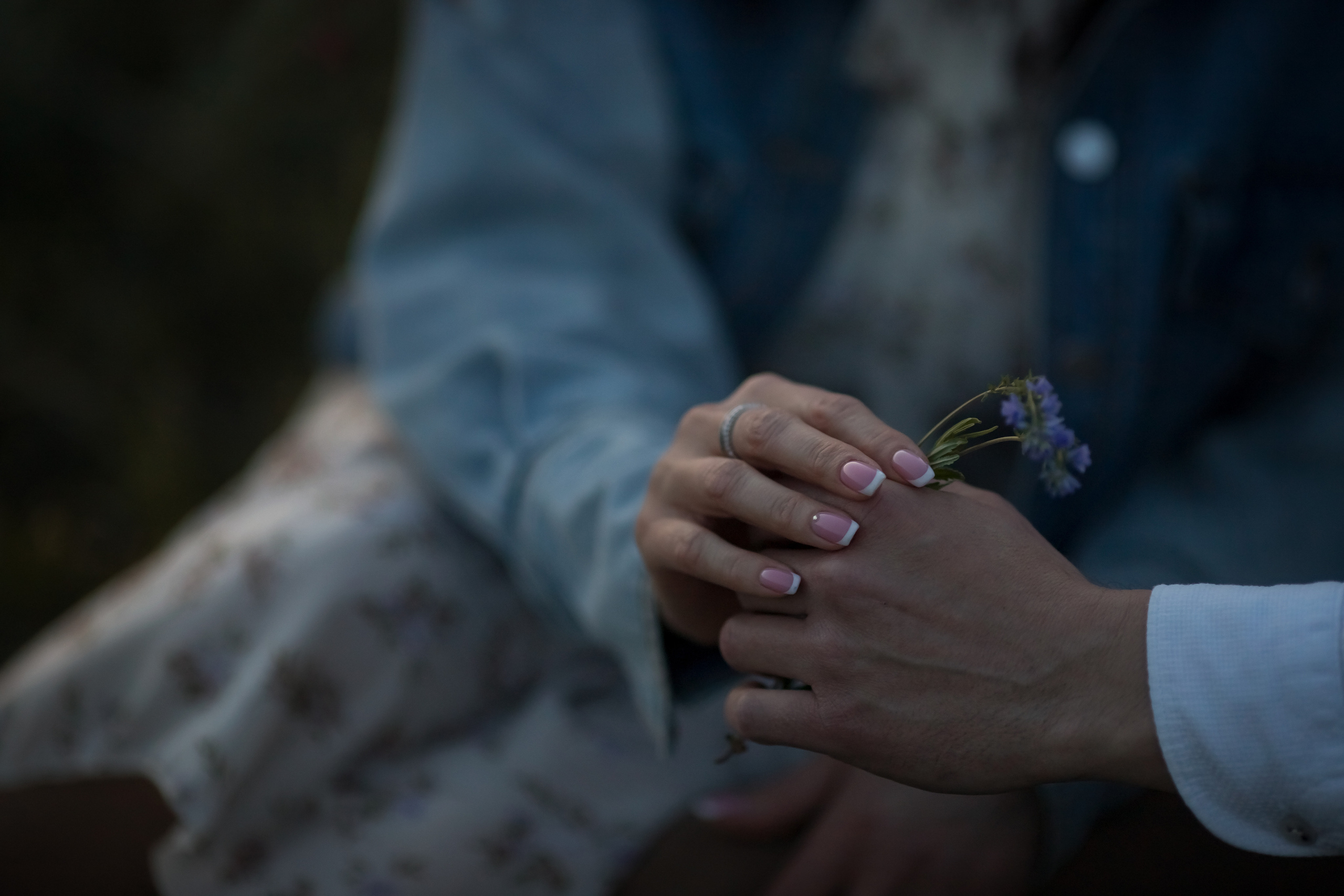 Вишневая история. Семейный и детский фотограф в Саратове Полина Коткина