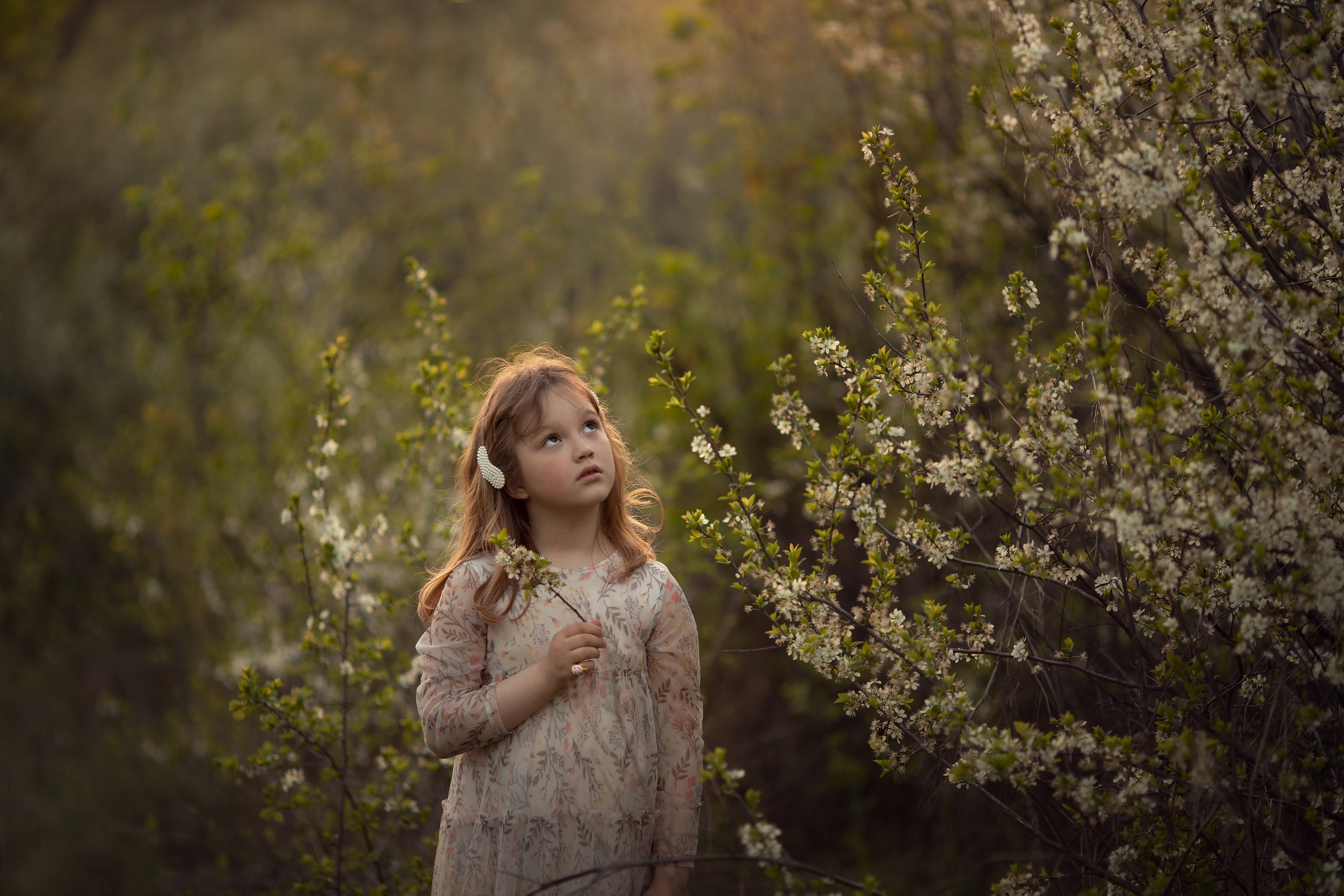 Вишневая история. Семейный и детский фотограф в Саратове Полина Коткина