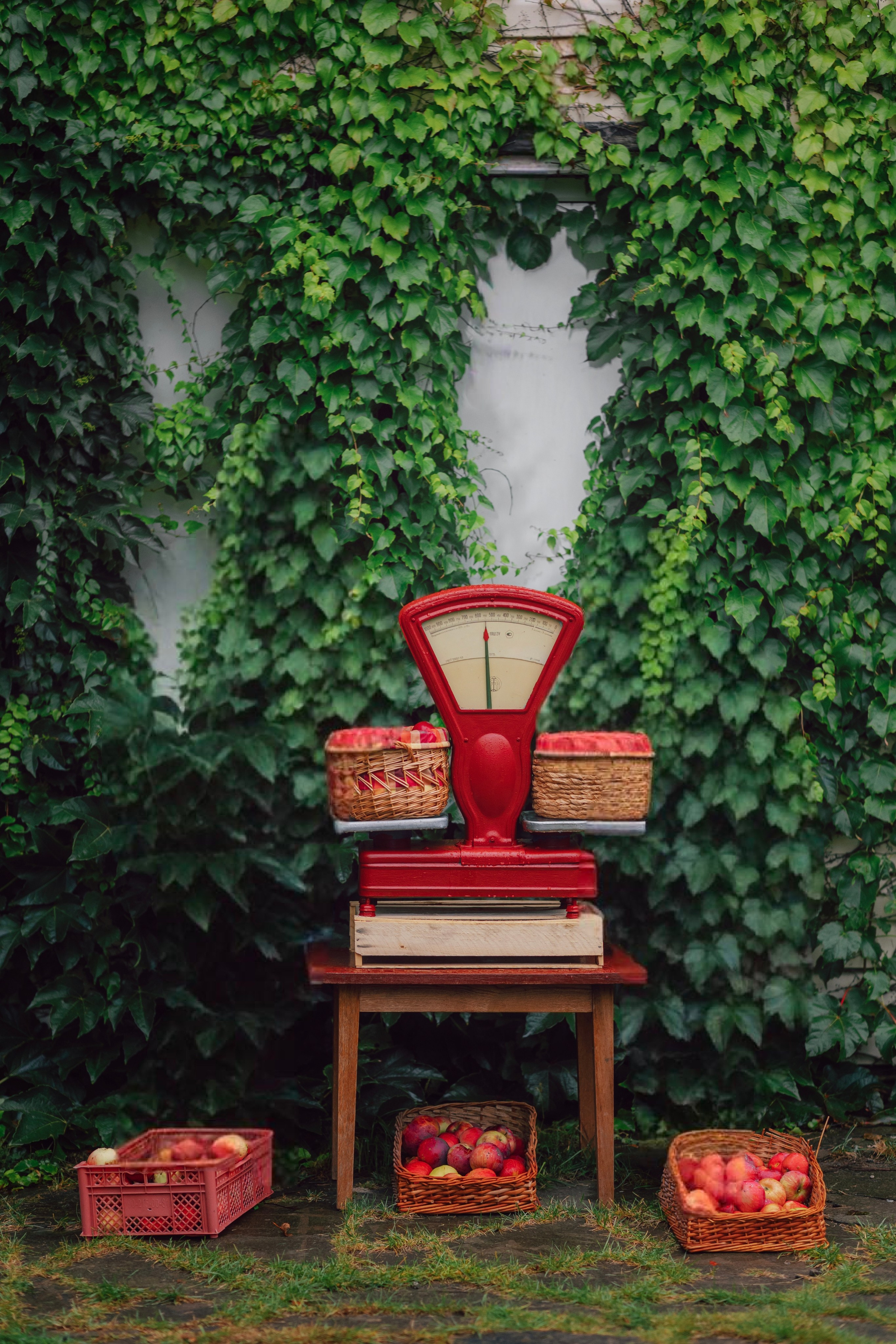 Villa Vera ЖИВОТНЫЕ. Family and children’s photographer |Russia| Anastasia Perepelkina