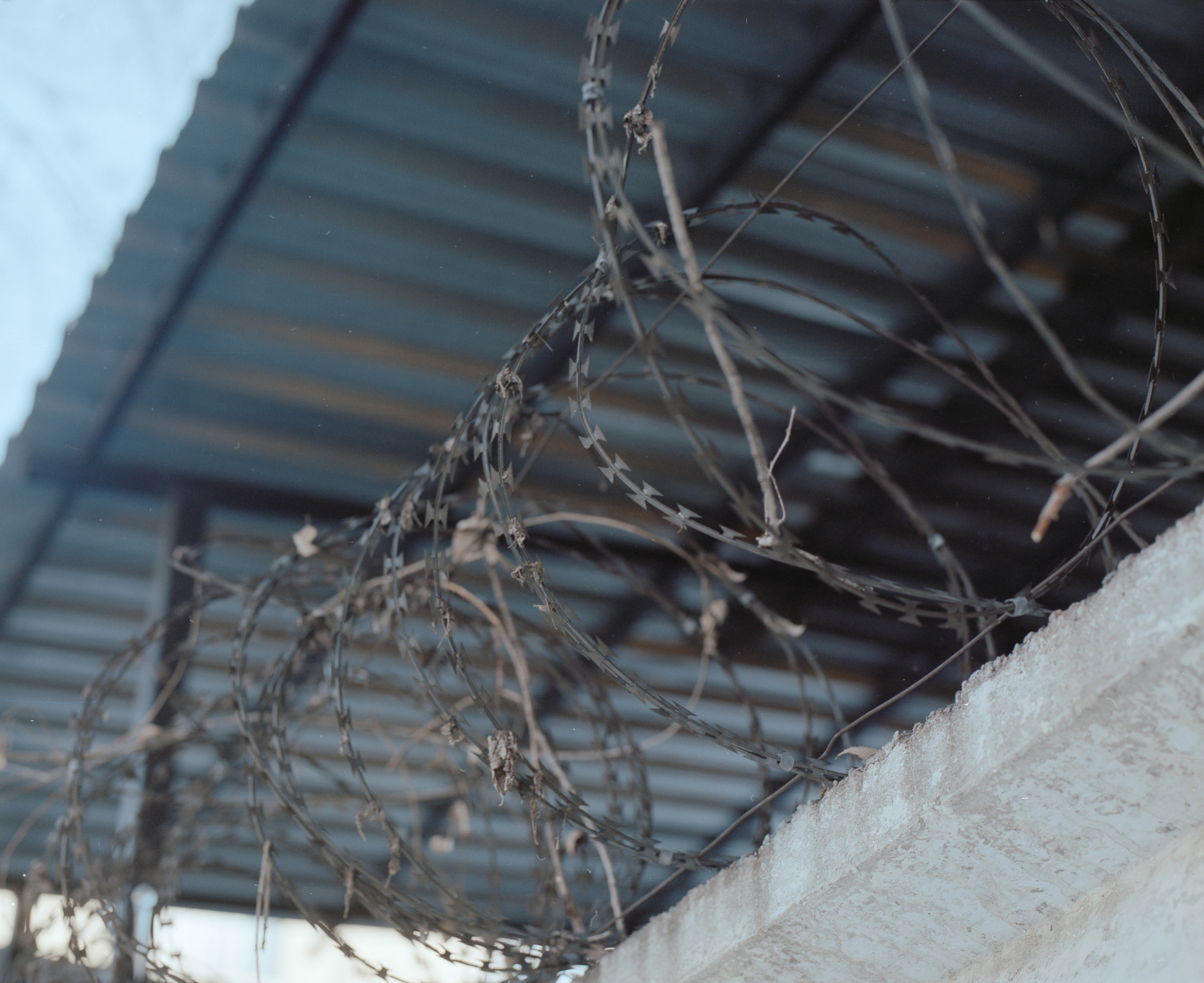 20 000 (on-going). Bauyrzhan Sabit — photographer and cinematographer