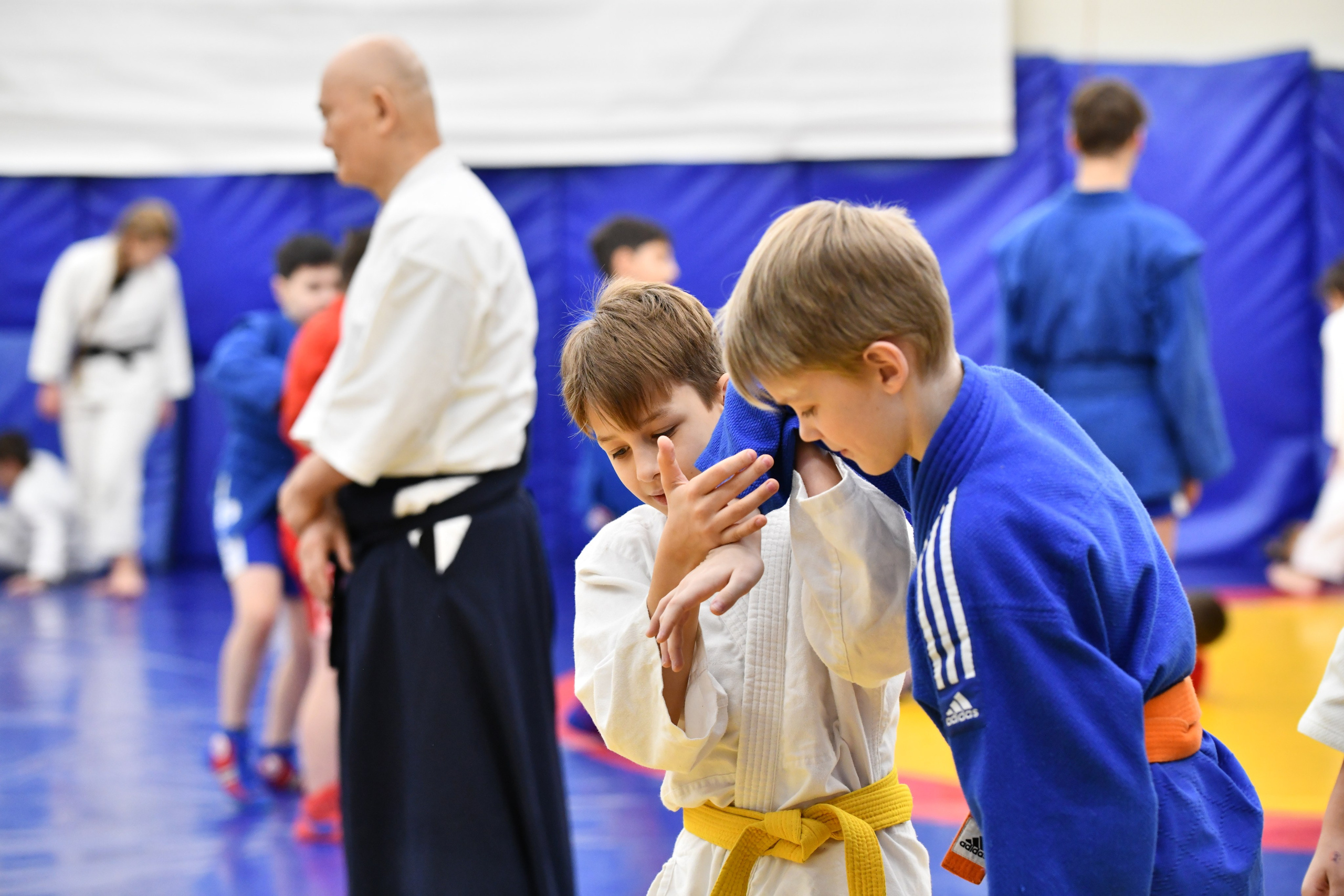 Айкидо. Семинар с Матсуо Масазуми. Фото детских спортивных мероприятий и всякое интересное через объектив