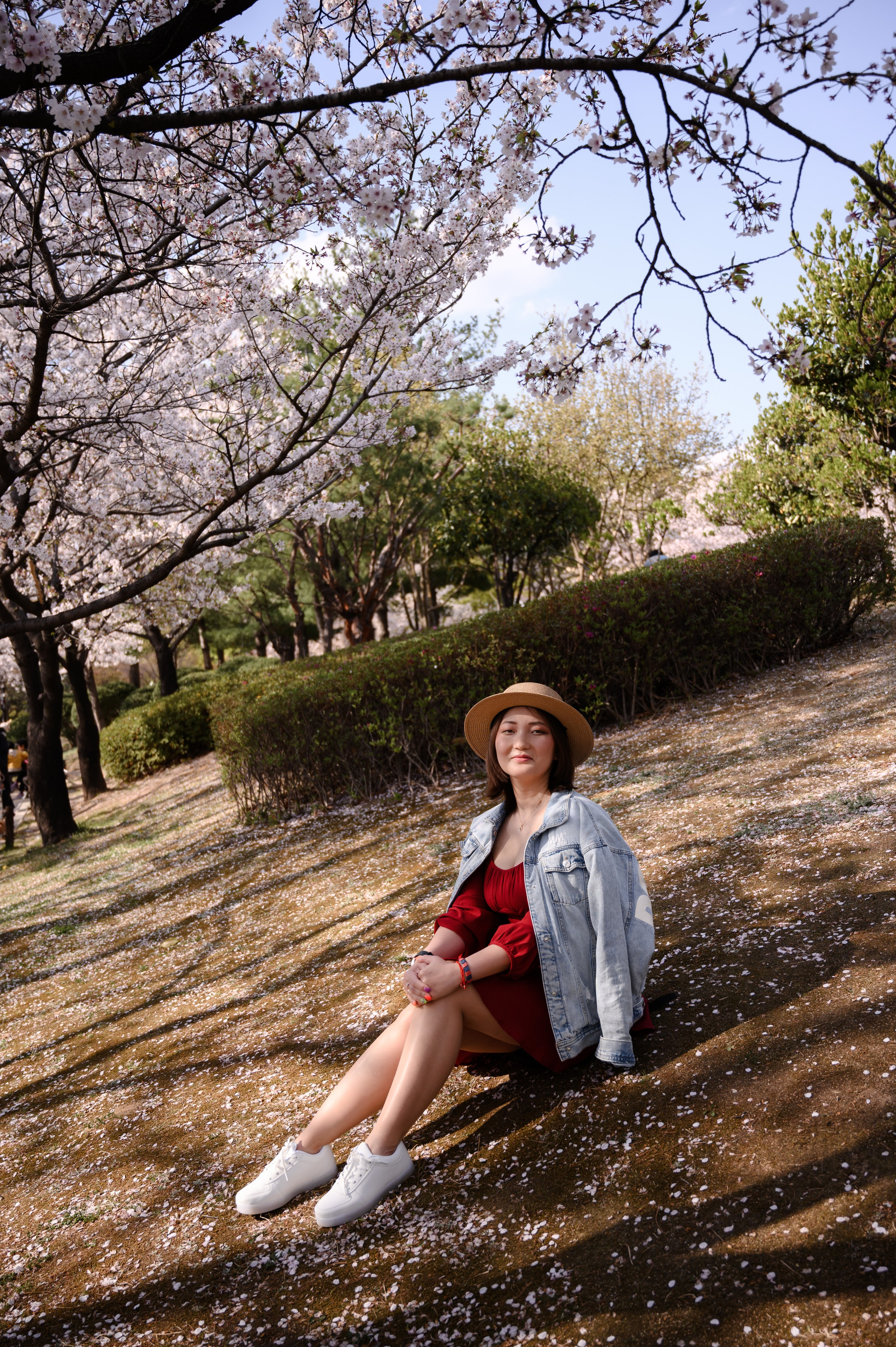 Sakura spring photoshoot in Busan female portrait photography