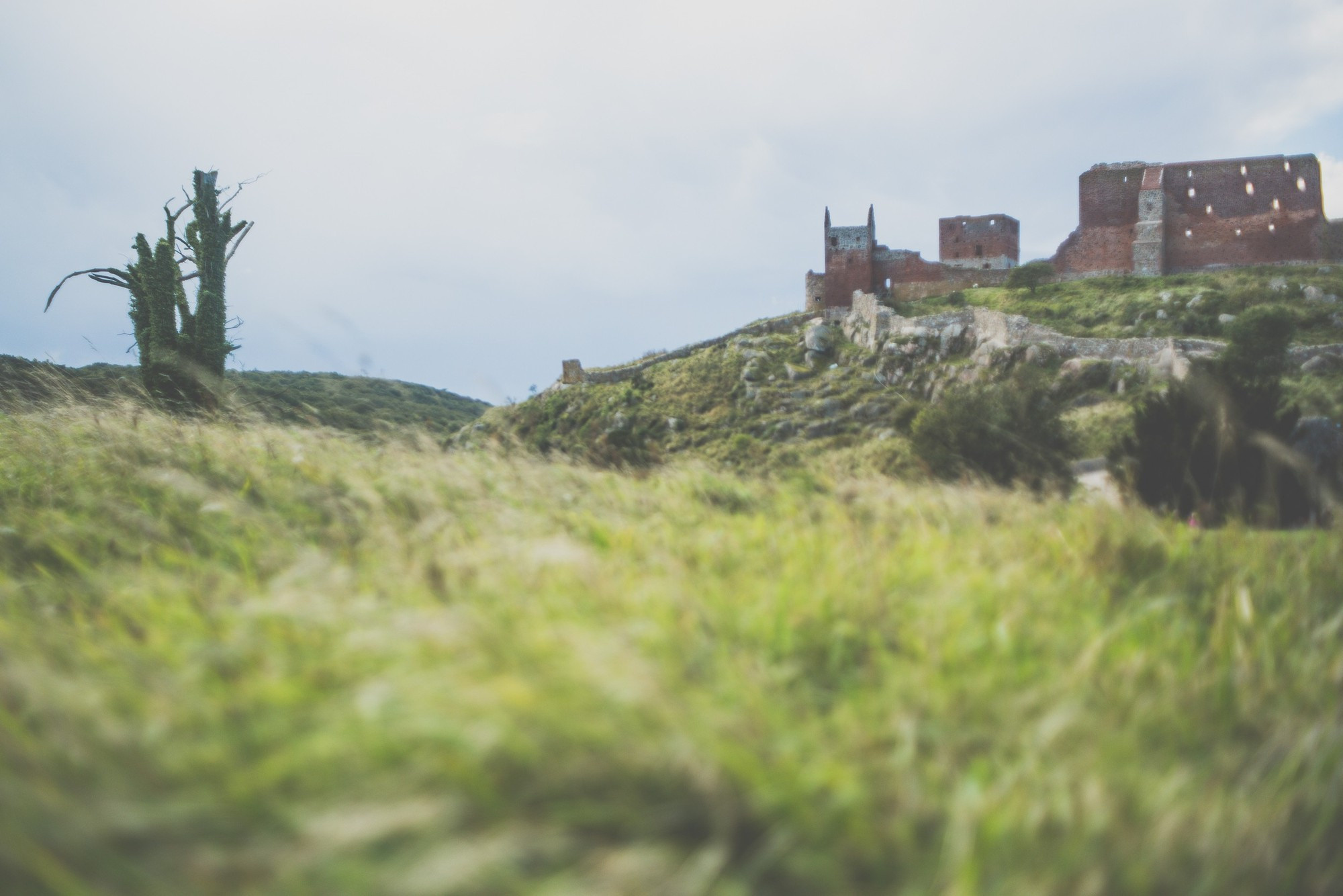 Борнхольм, Дания