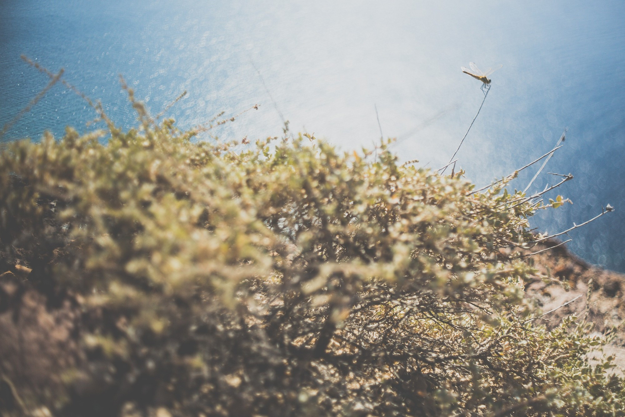 Санторини, Греция