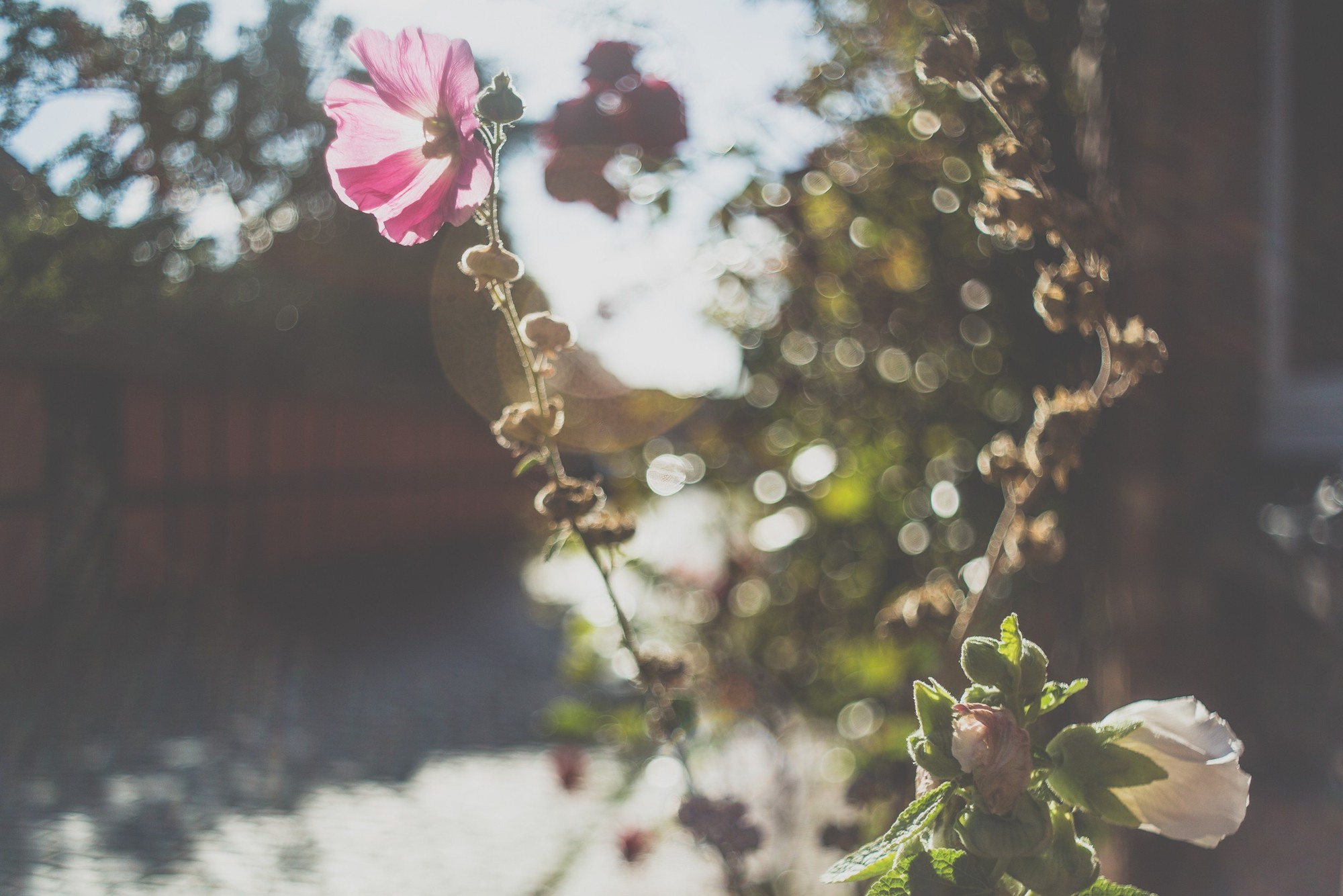 Борнхольм, Дания