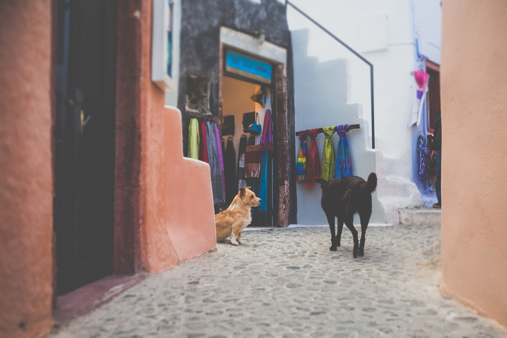 Санторини, Греция