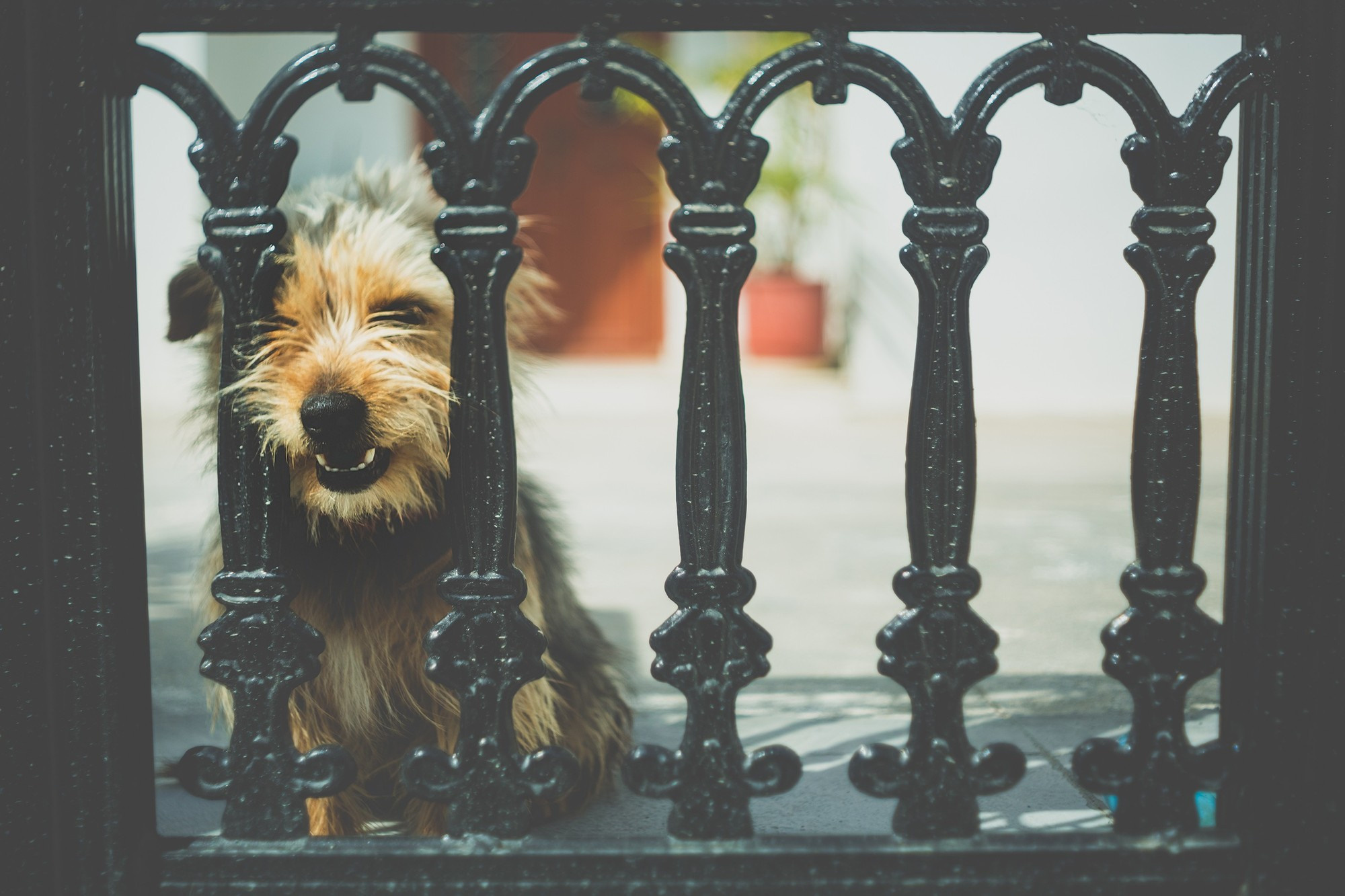 Санторини, Греция