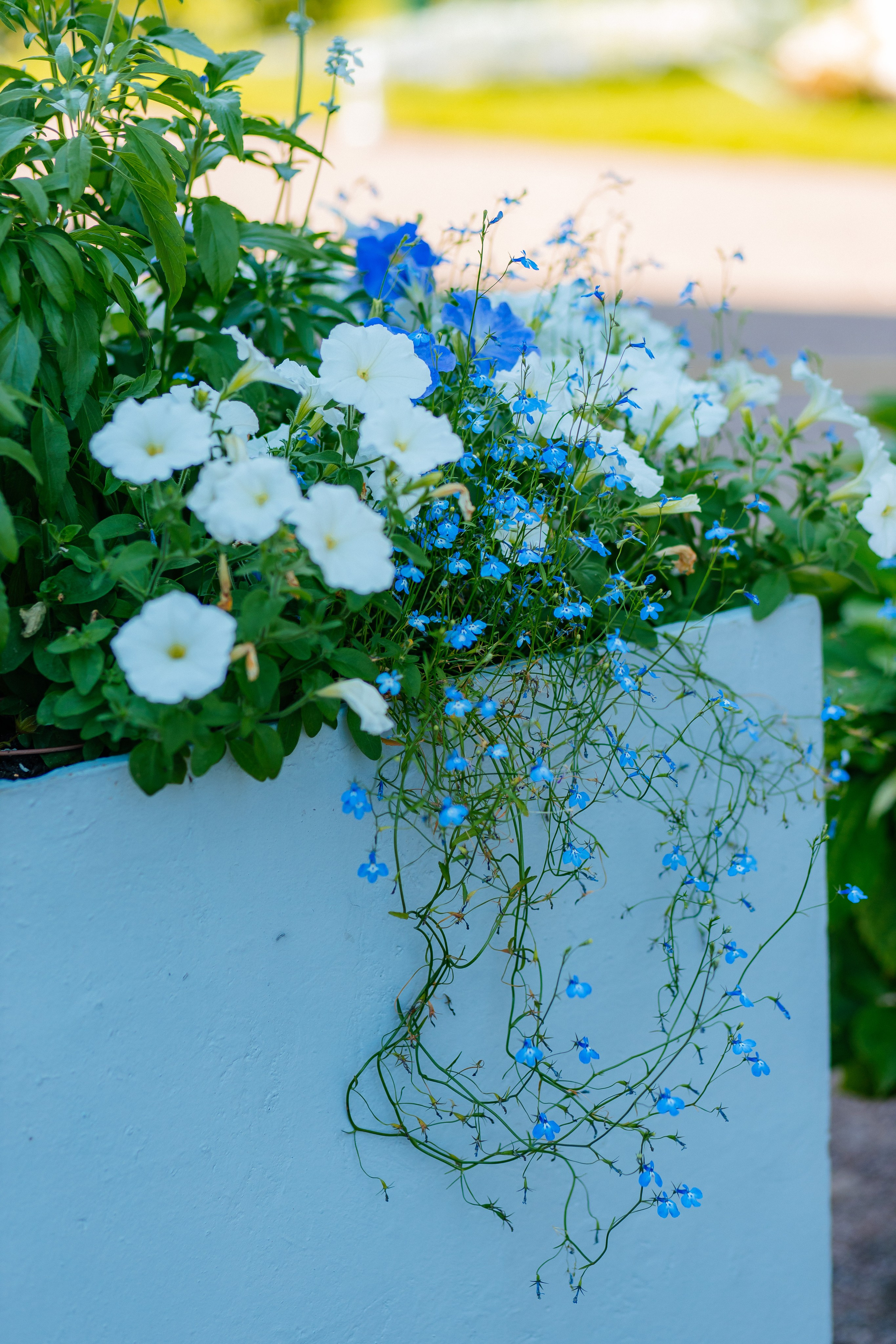 ФОТОСЕССИЯ В ПЕТЕРГОФЕ. ГДЕ СНИМАТЬ В ПЕТЕРГОФЕ