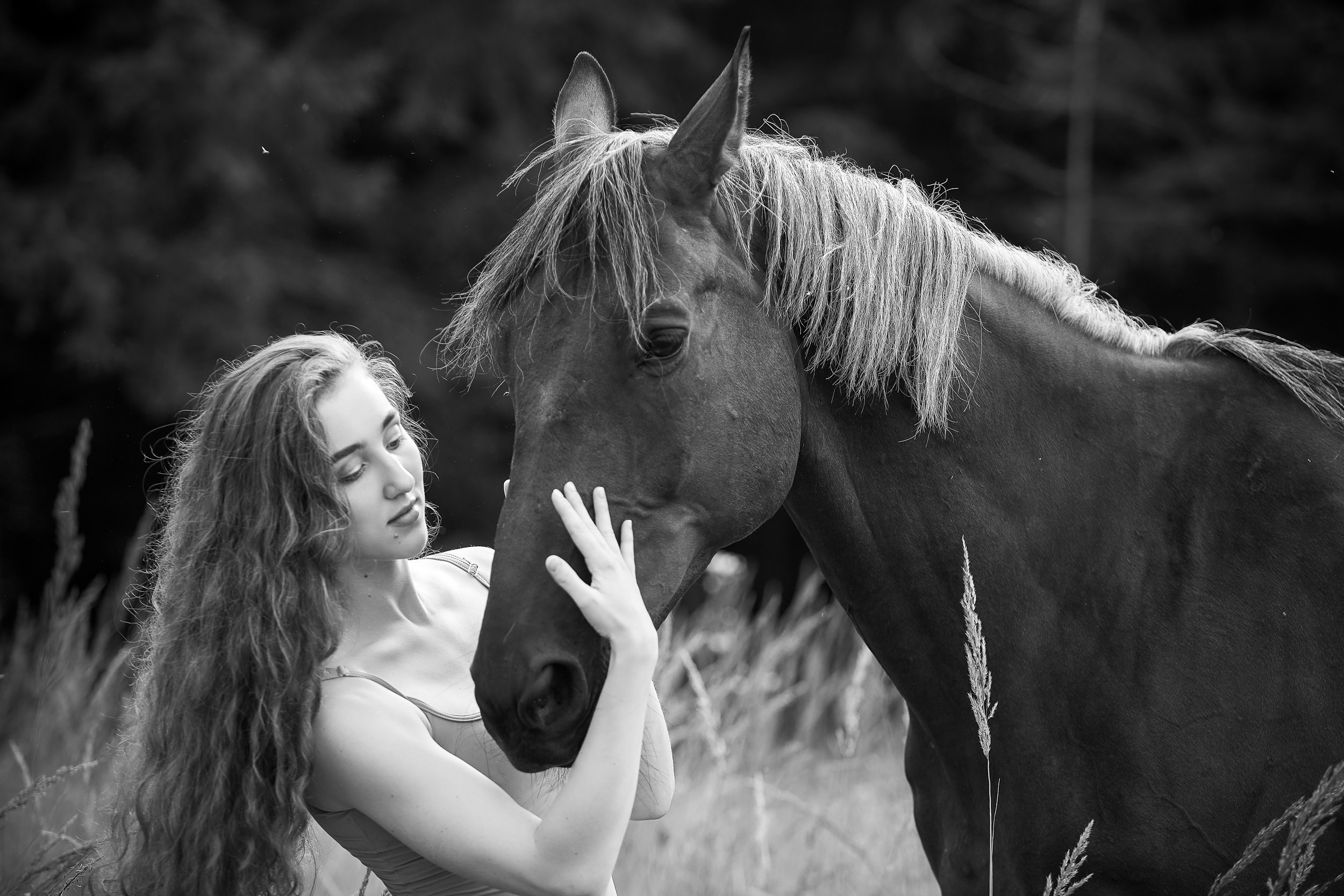 Балет и лошади, фотосессия «ГРАЦИЯ и СИЛА-1» Фотограф Михаил Семенов г. Ярославль