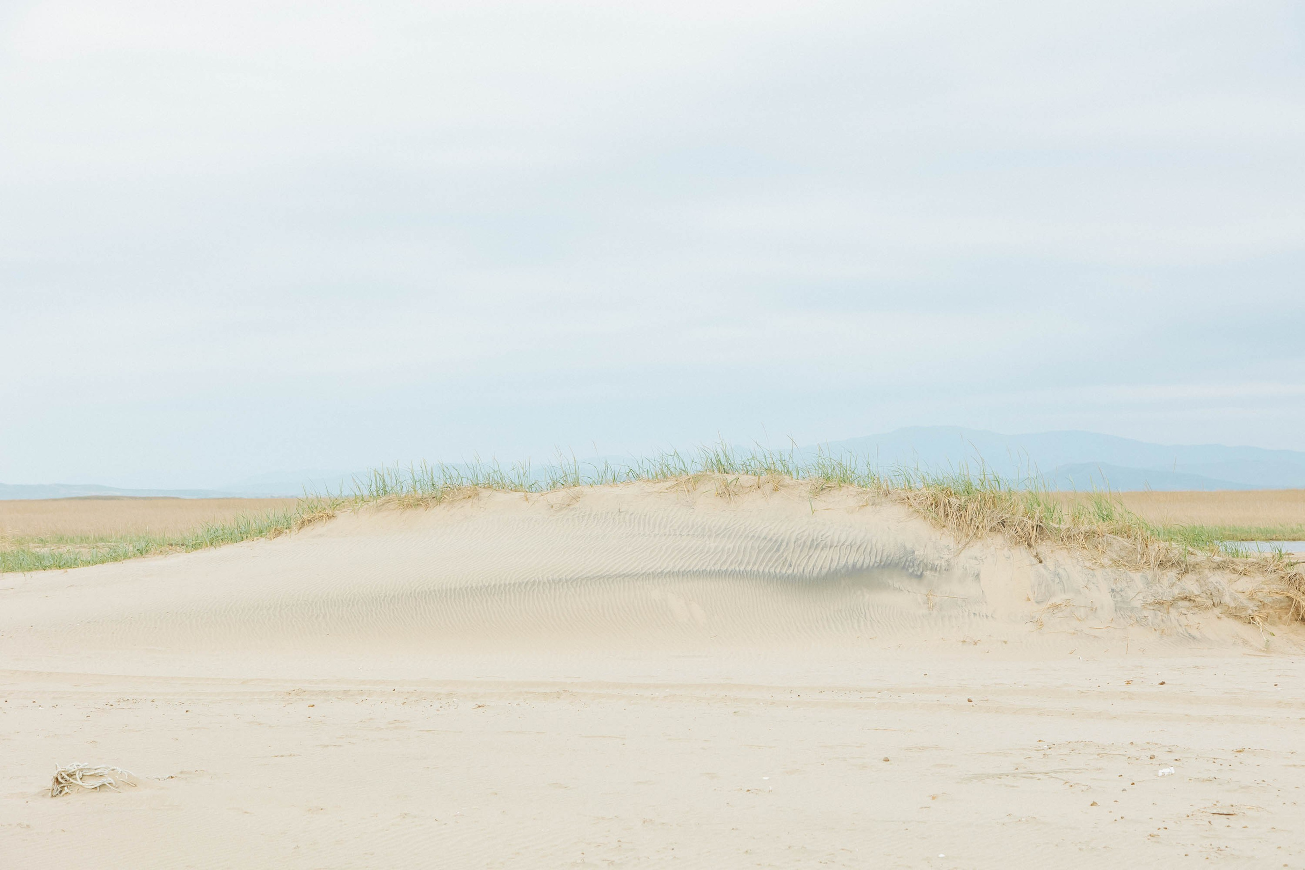 Пока не застроили. Evgeniya Kokurina