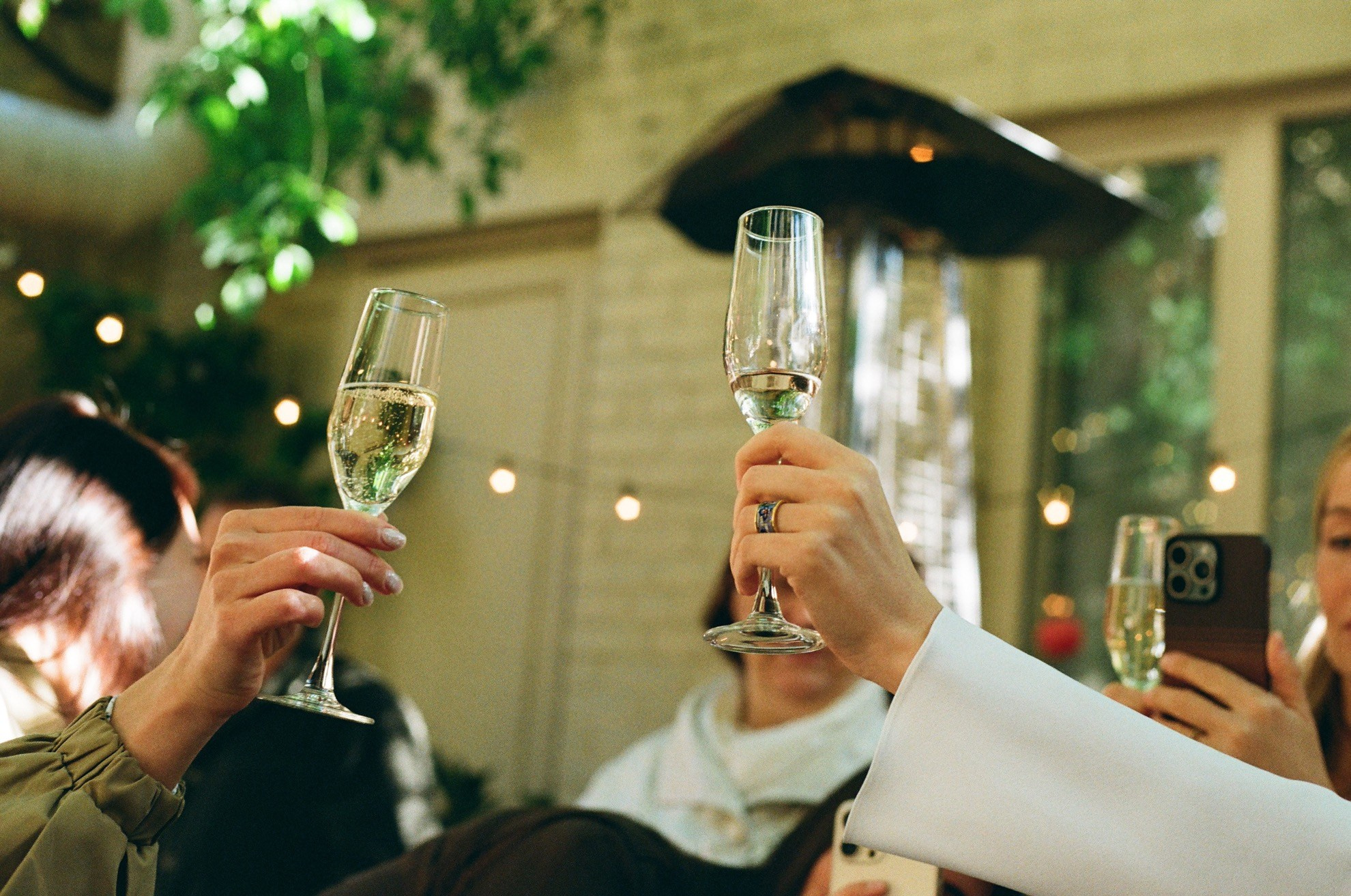 Тост: гости поднимают бокалы шампанского, плёночный теплый свет Gold 200