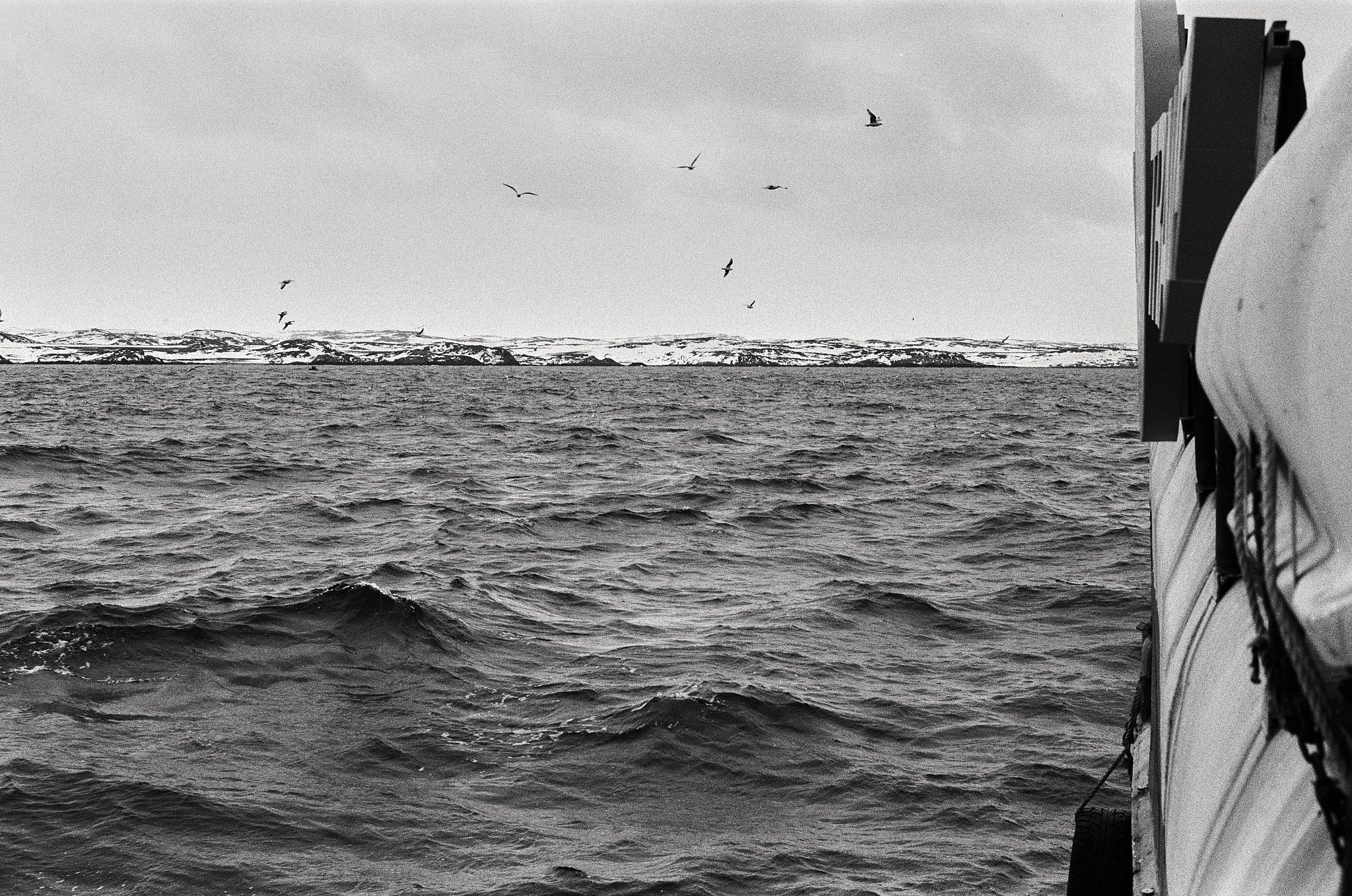 Teriberka (Murmansk). The Other Pavel Potseluev — film photography and mastery of meat business