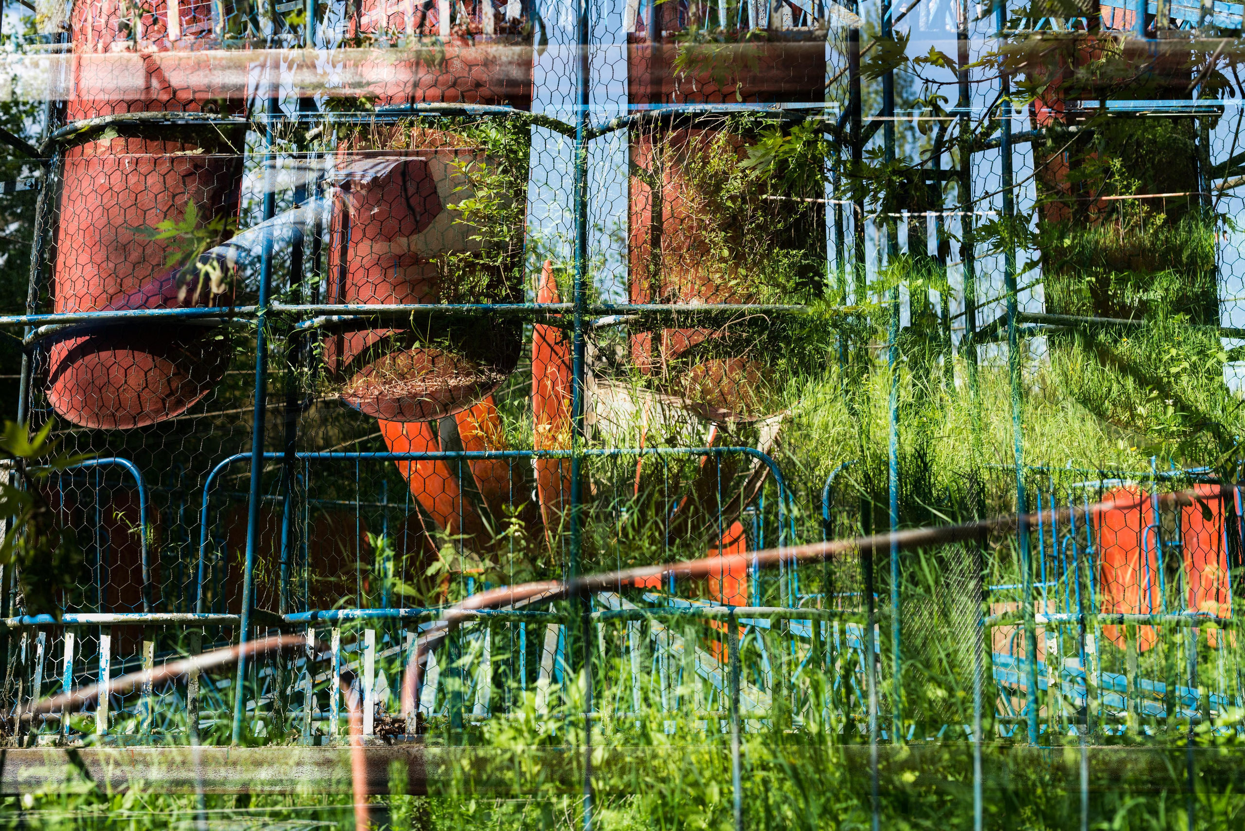 Dilijan park, Armenia. Событийный и тревел фотограф в Москве и по всему миру Мария Салахутдинова