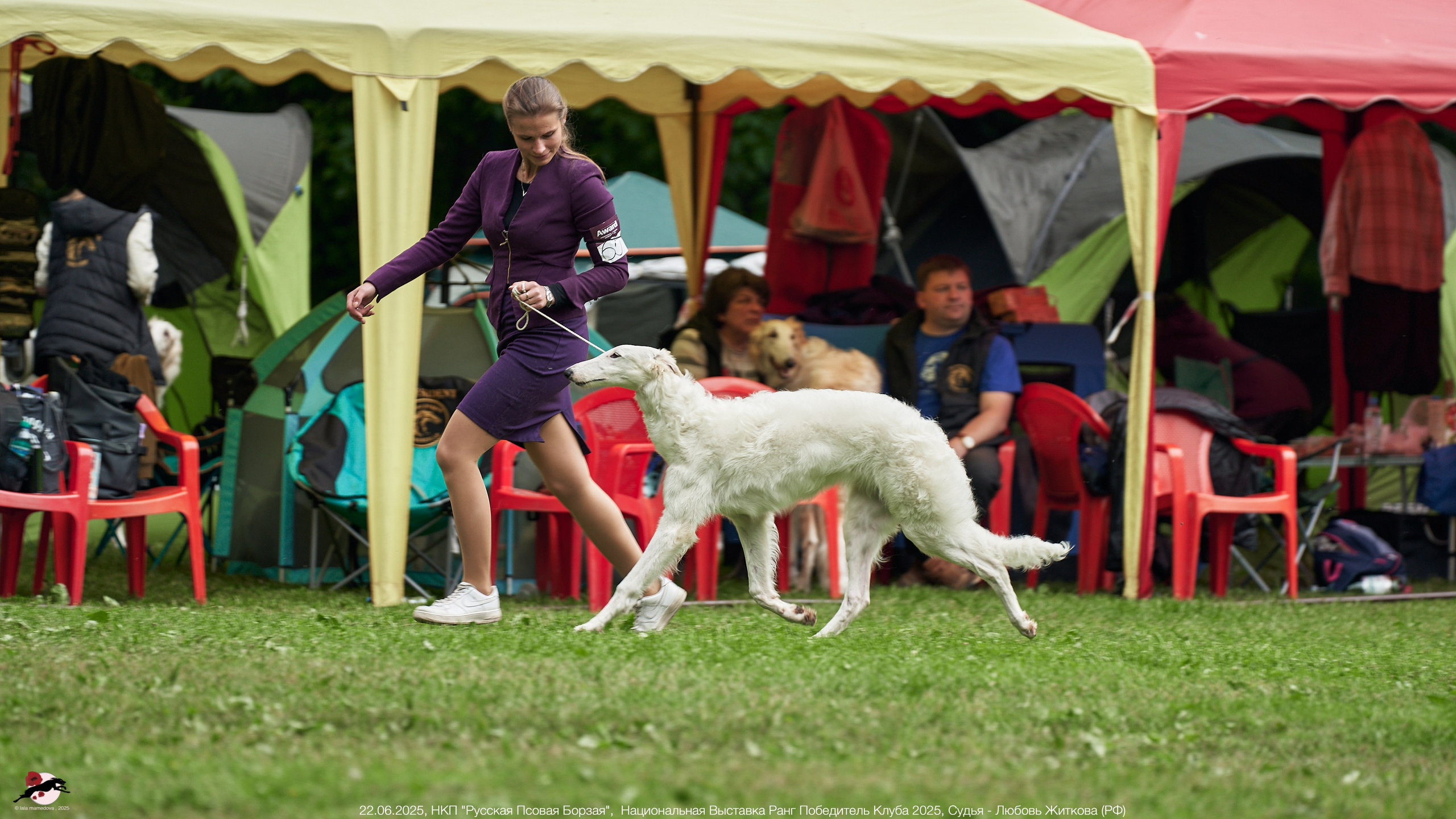 22.06.2025 | Национальная Выставка НКП "Русская Псовая Борзая"