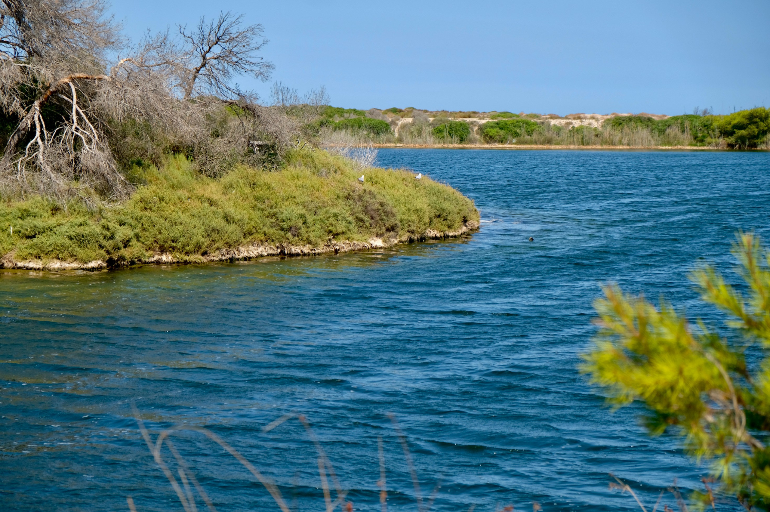 Парк Альбуфера в Валенсии (Испания). Гид и фотограф в Валенсии Новиков Михаил