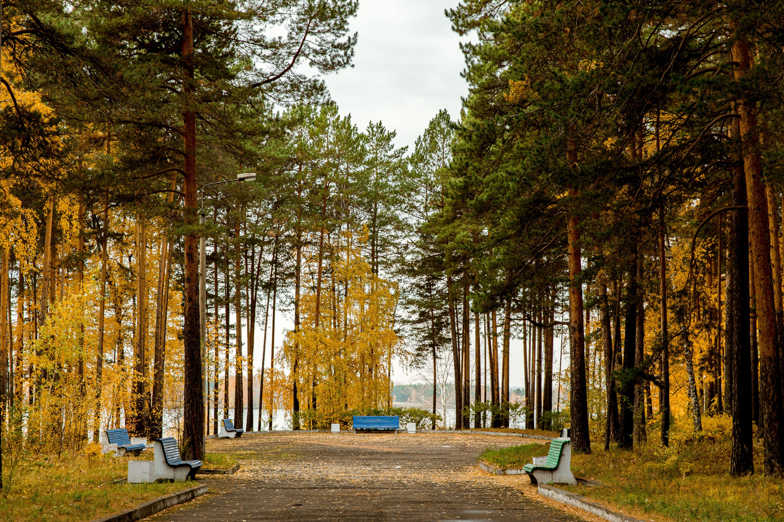 Осень в парке. Семейный и детский фотограф в Железногорске Саламахо Ольга
