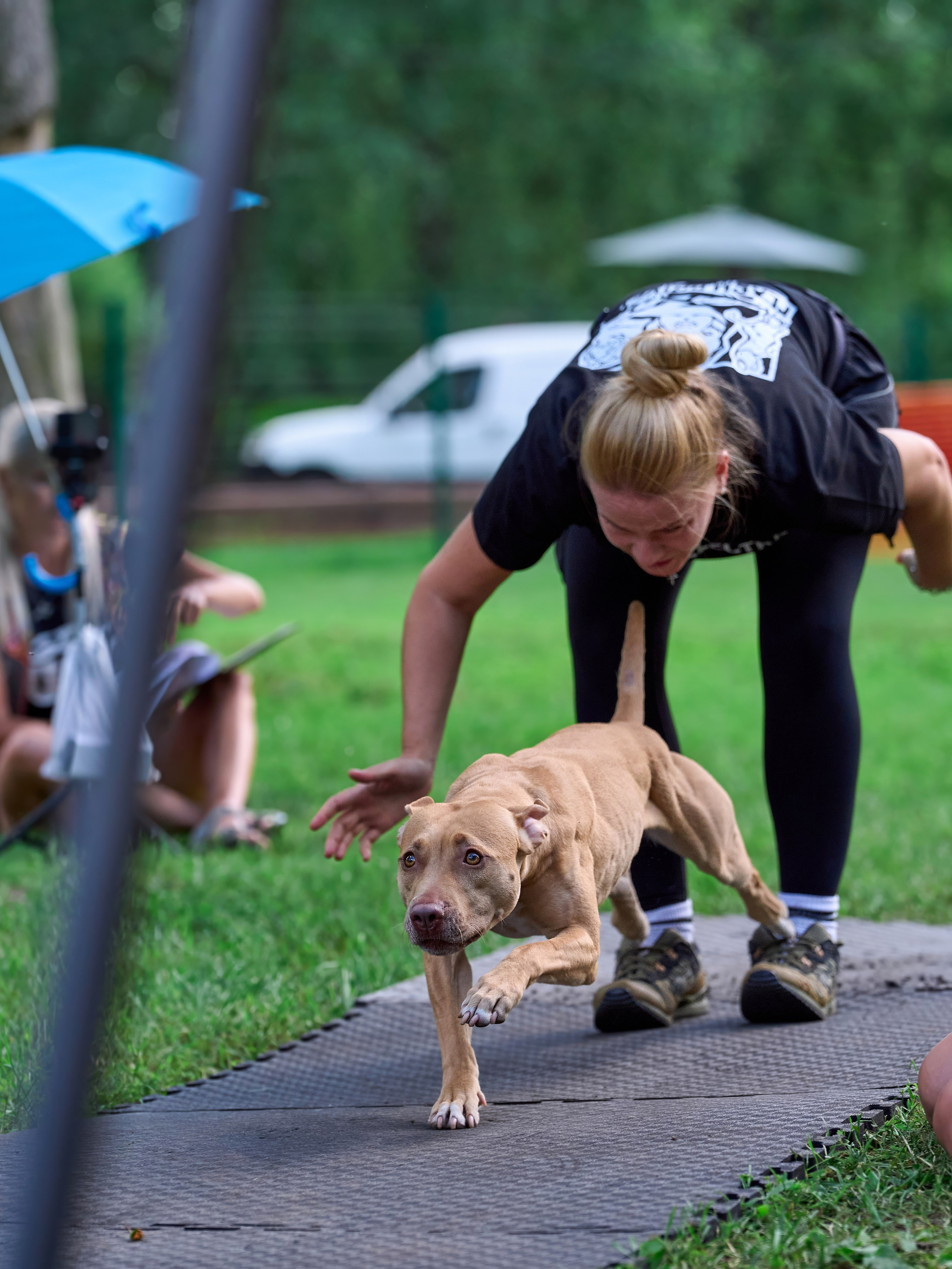 Двухдневные соревнования «Jump'n'Gym Fest — 2024». Фотограф-анималист Михаил Манухин