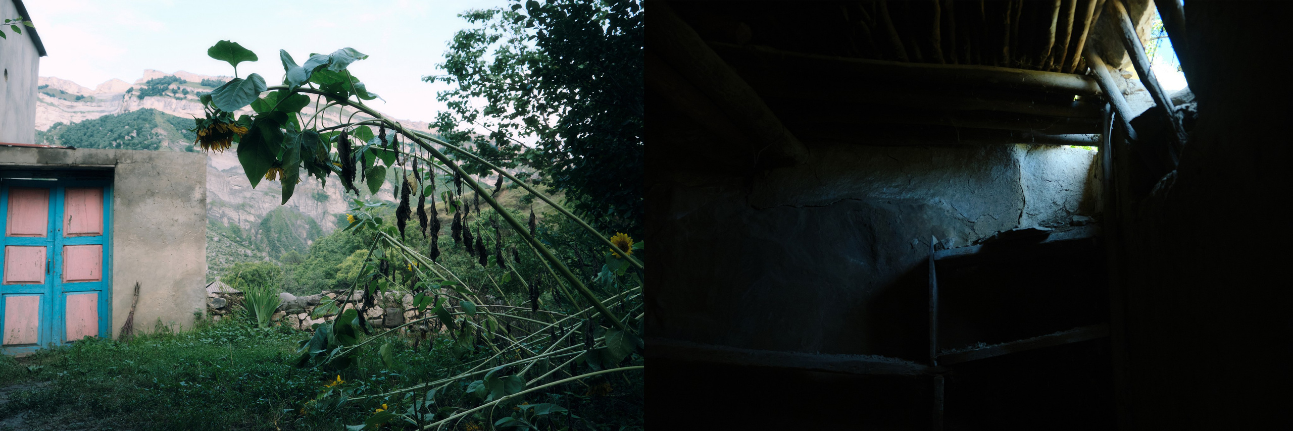 Трансформация дома. Izma photos