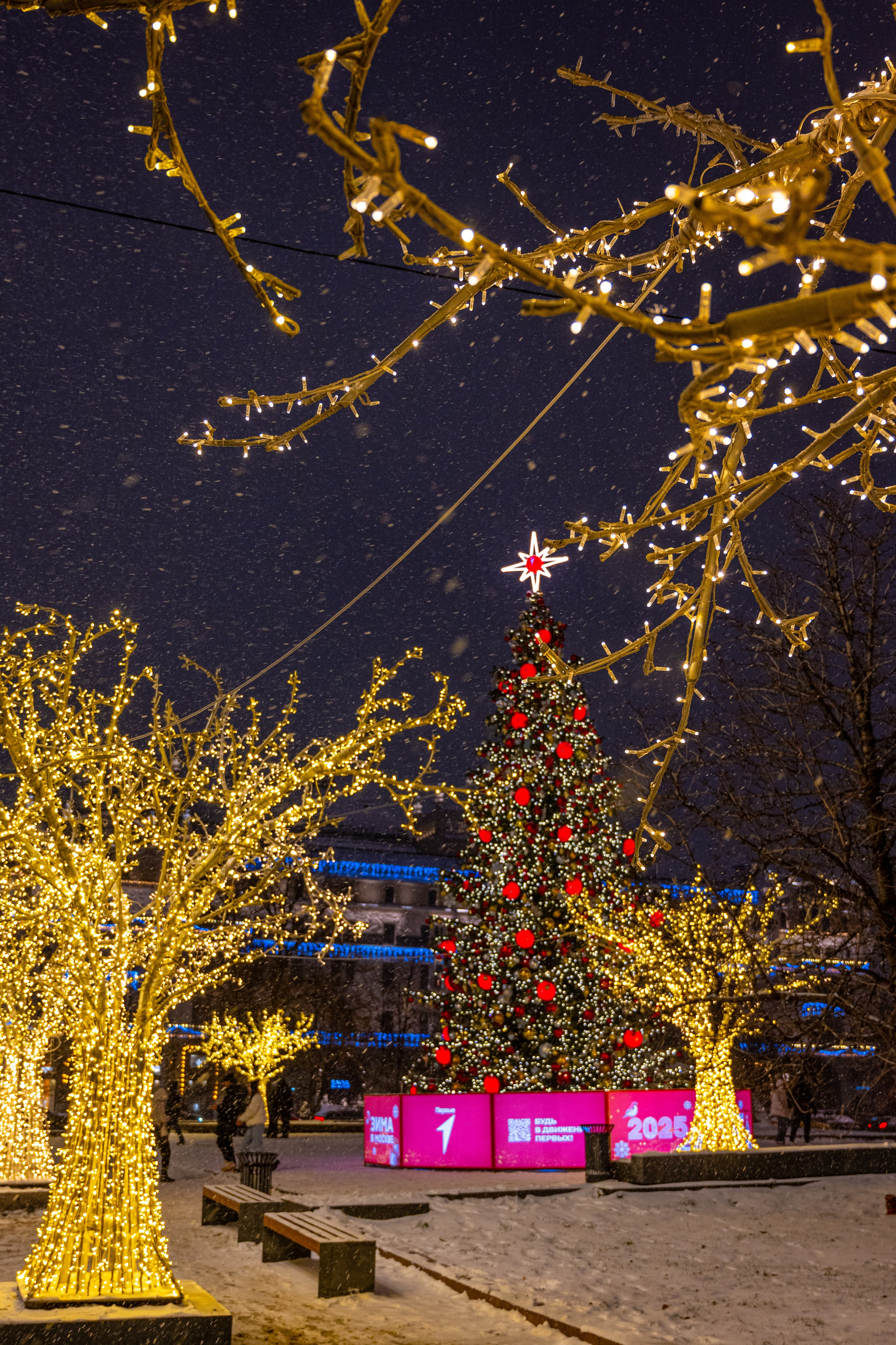 Новогодние экскурсии. П&П — Полезное с Приятным. Фотоэкскурсии — Москва на память. Экскурсовод и фотограф в Москве. Увези столицу в своём альбоме!