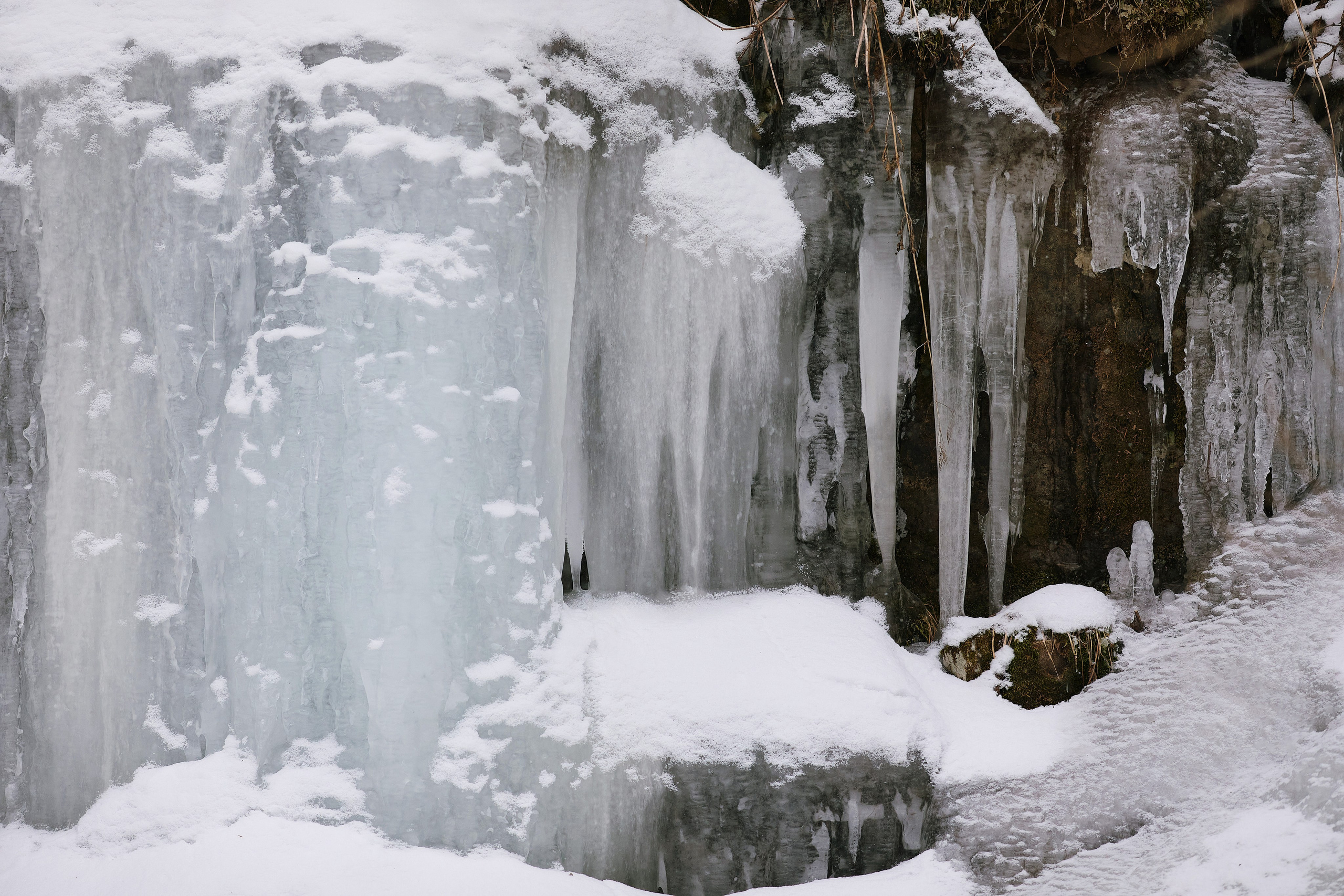 Сосульки на берегу реки крупным планом