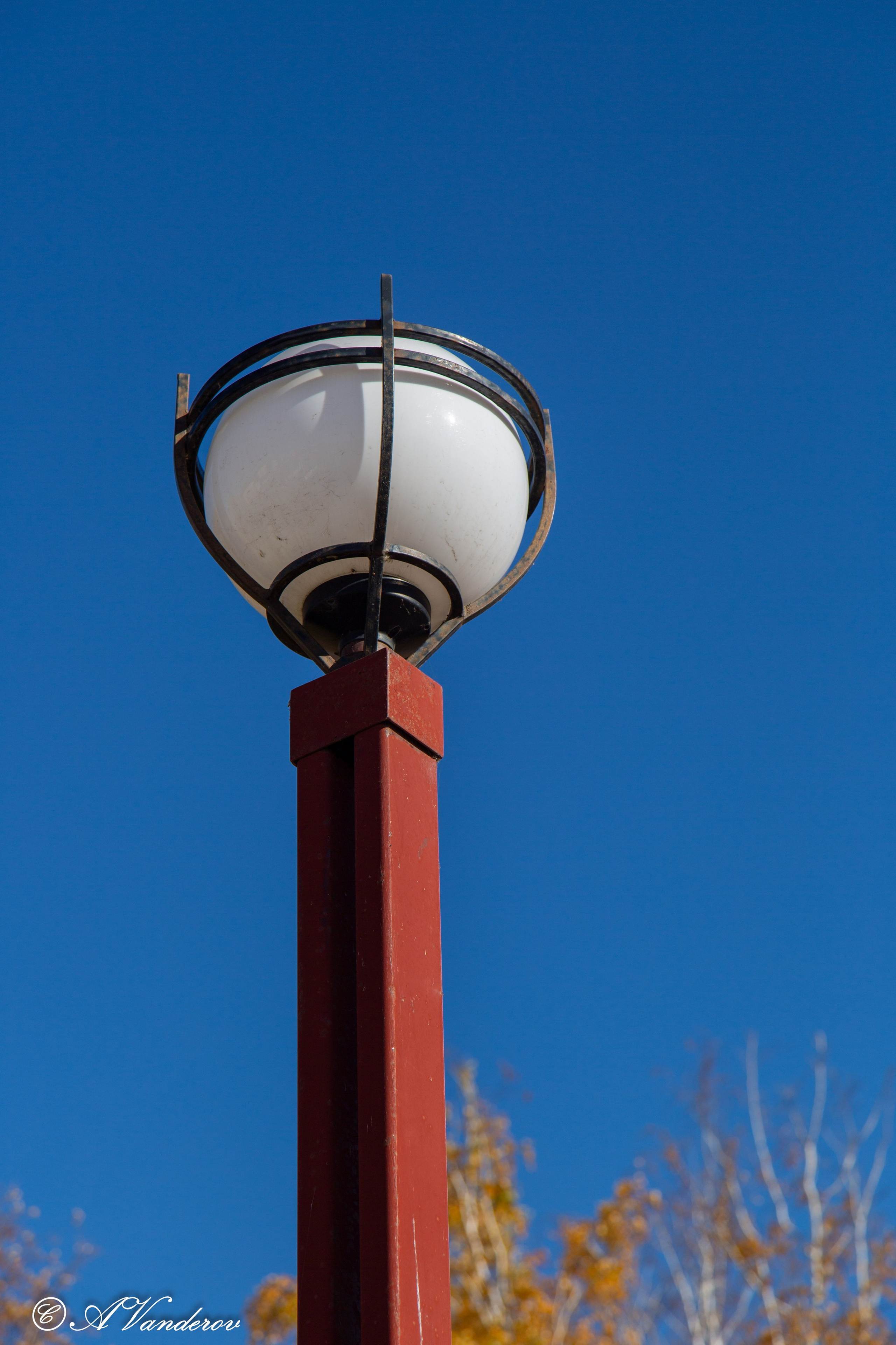 День ходьбы 2024. Фотограф Омск | Александр Вандеров