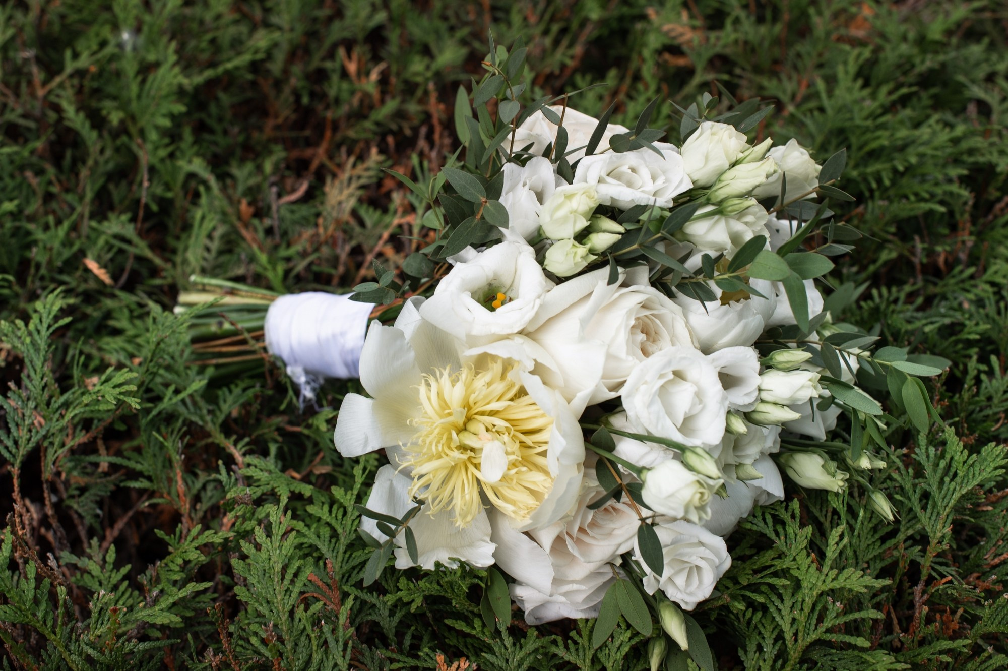Свадьба в Облаках. Свадебный и семейный фотограф в Омске Мормулев Михаил