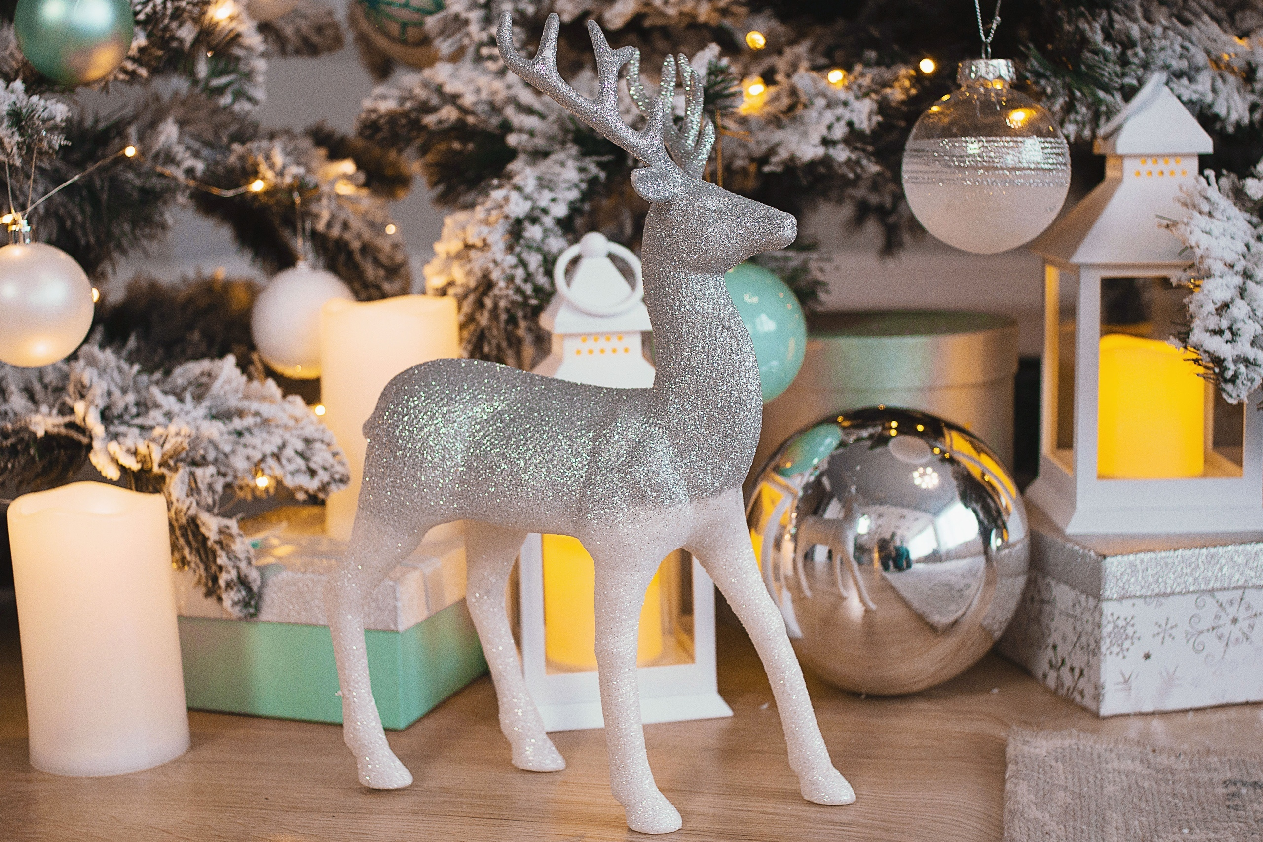 El-leon 2020. Фотограф Ижевск Филипп Усков