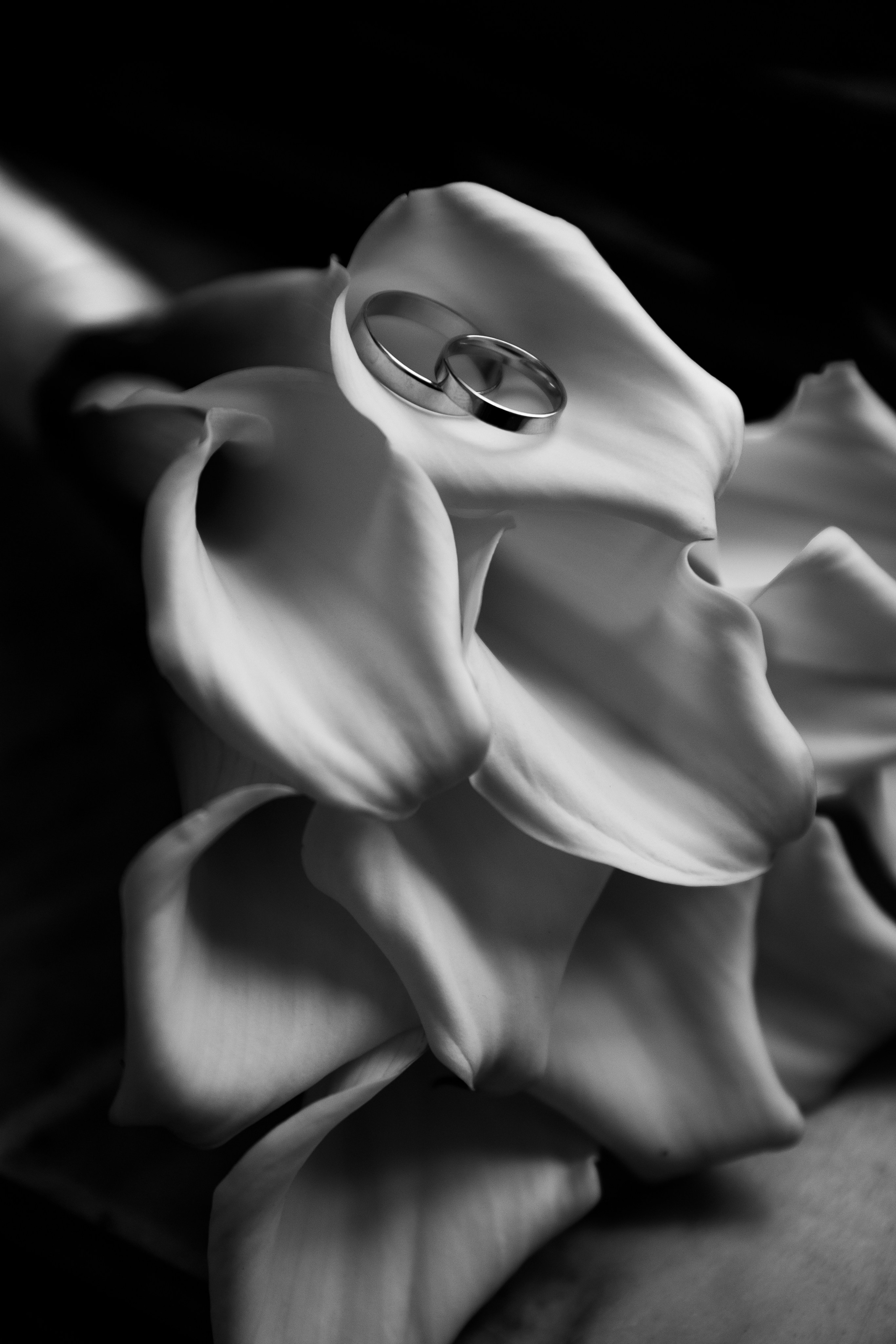 Свадебный фотограф Санкт-Петербург Катерина Ширяева