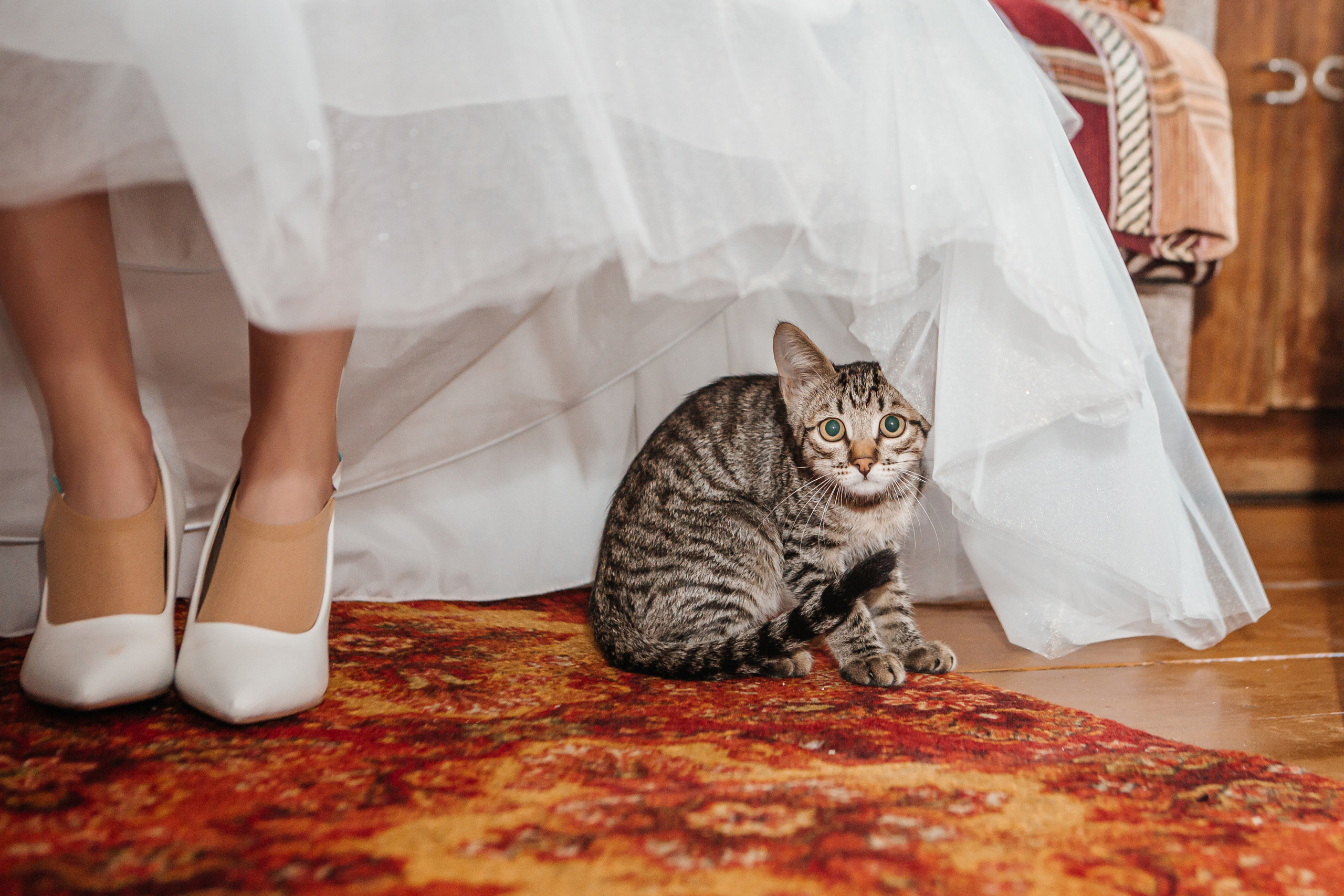 Ирина и Александр. Wedding, romantic photo, family holidays. Workshops