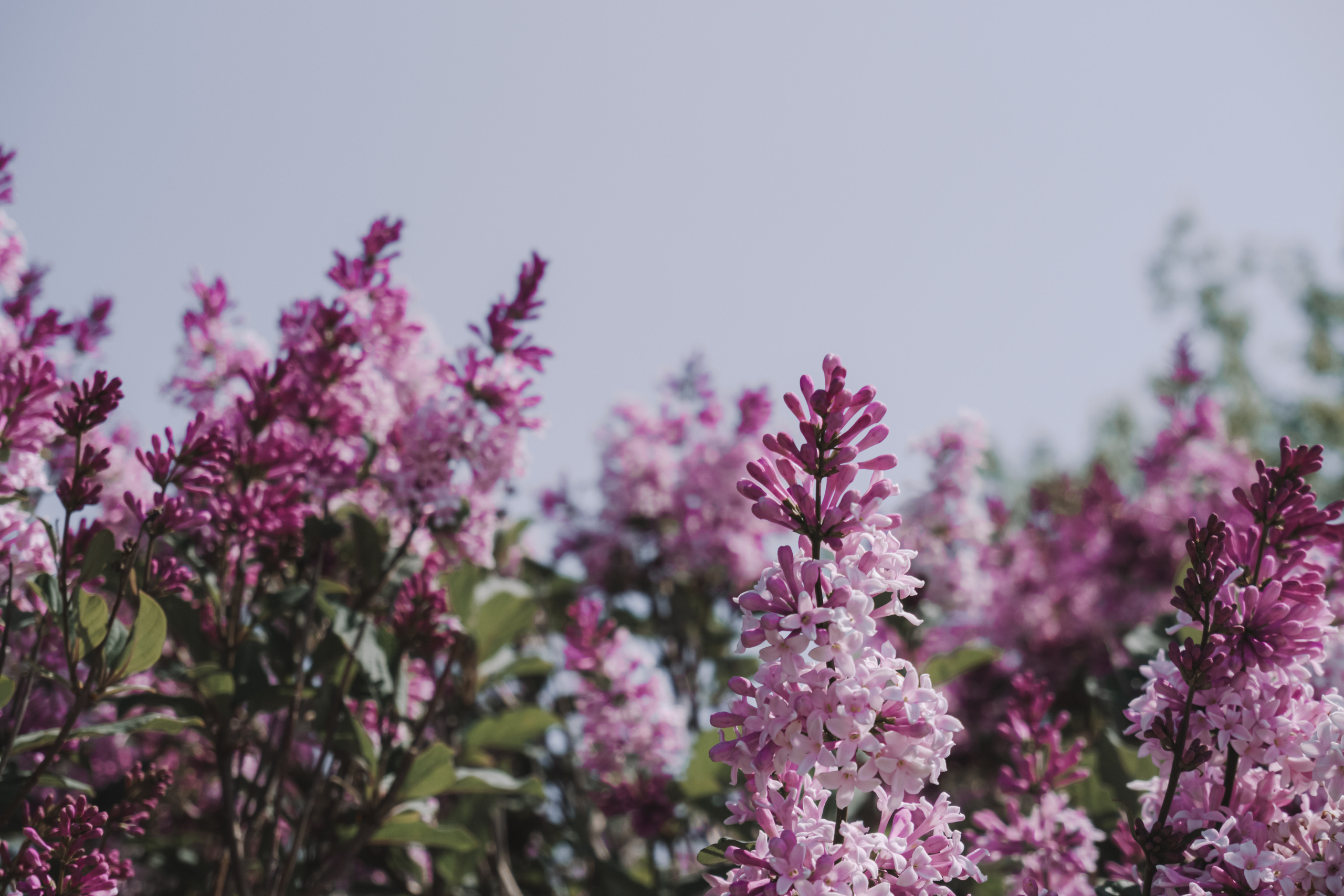 Фотограф Иркутск фотосессия