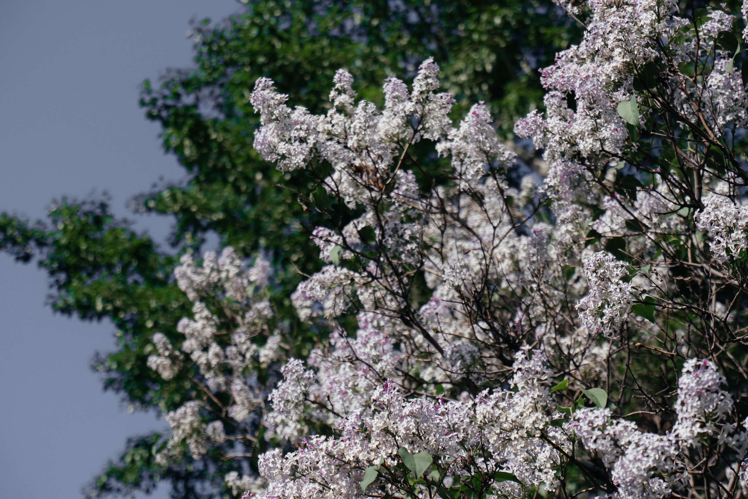Фотограф Иркутск фотосессия