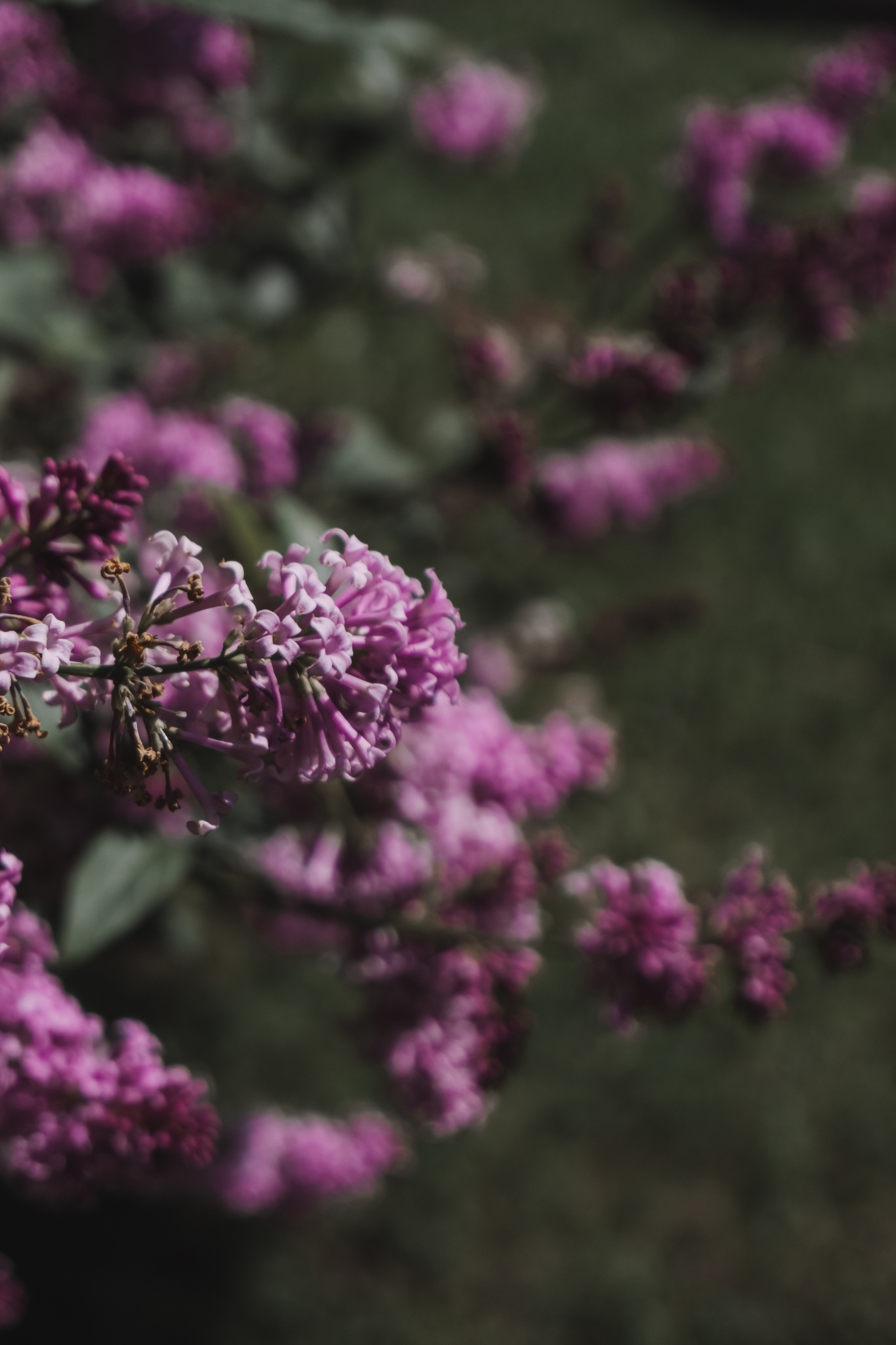 Фотограф Иркутск фотосессия