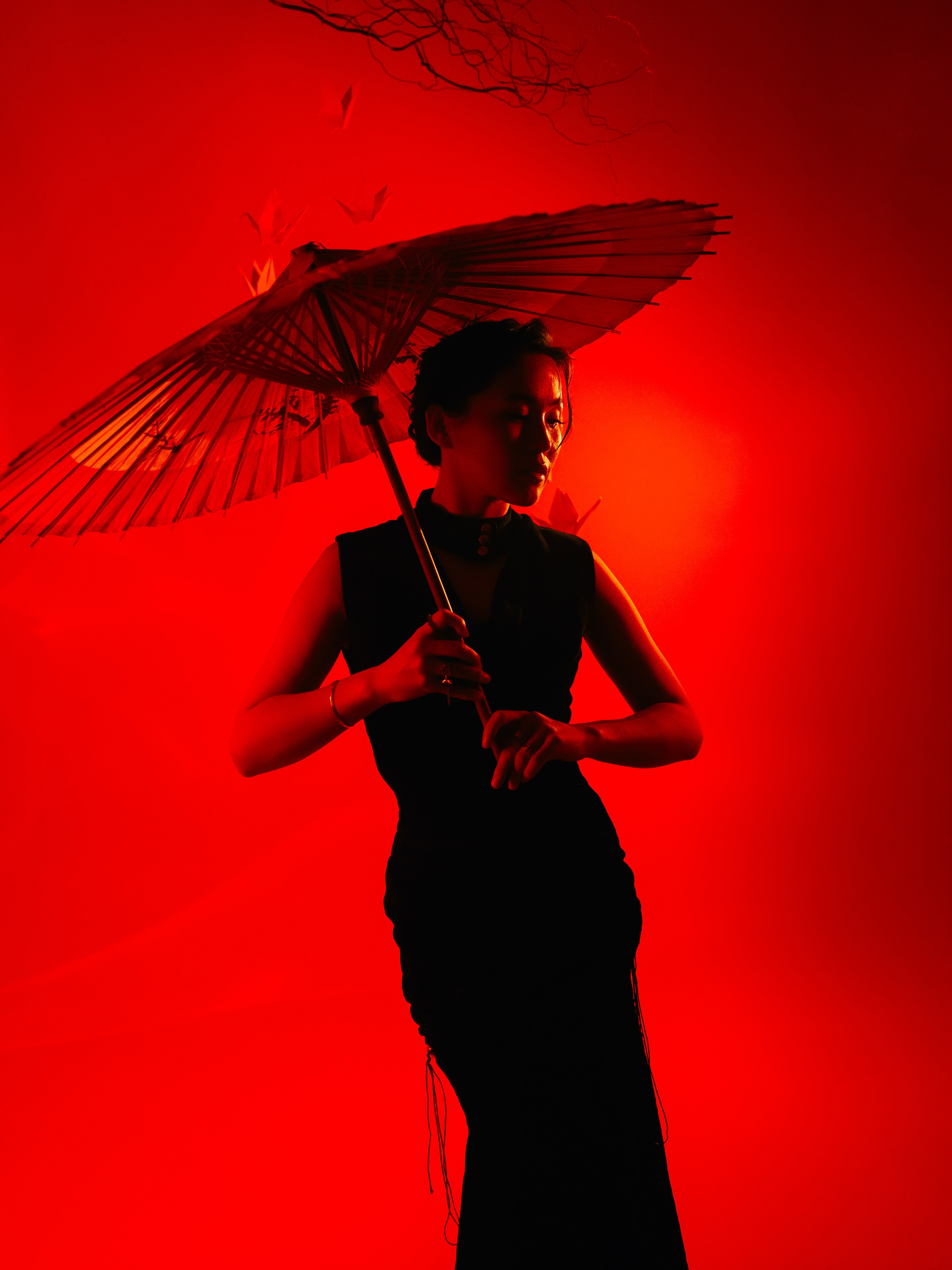 «Тени Киото»