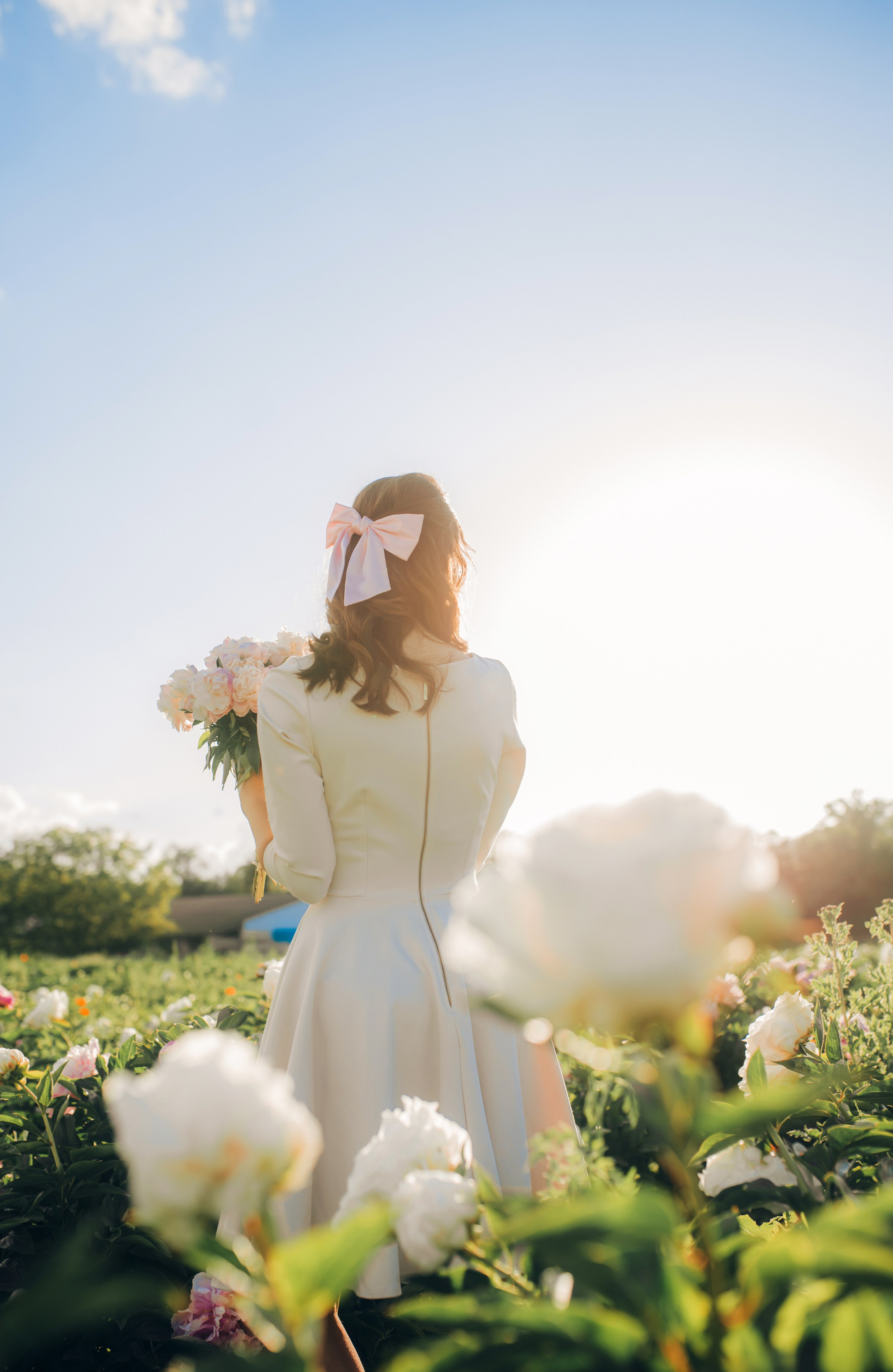 Champs de pivoines. Photographer in Provence Julia Lipiainen